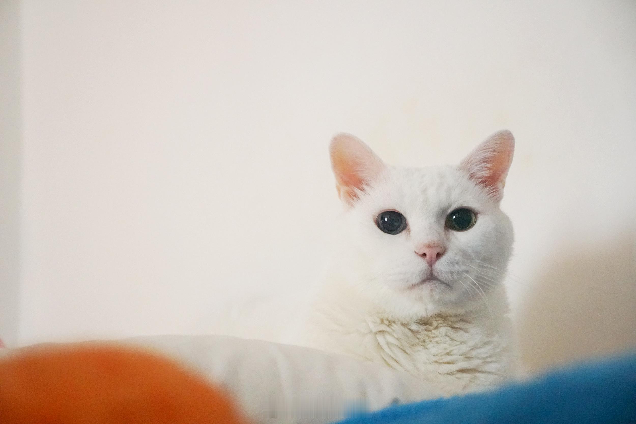 既然對到眼，就要深吸一口～ ​​​