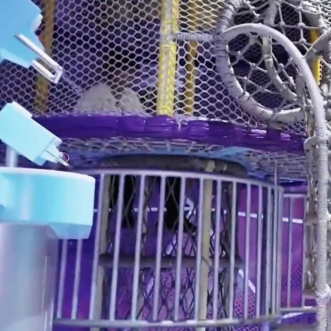 马嘉祺以为自己藏得可好了马嘉祺自投罗网式撕名牌 马嘉祺快乐藏身，孟子义在后面默默