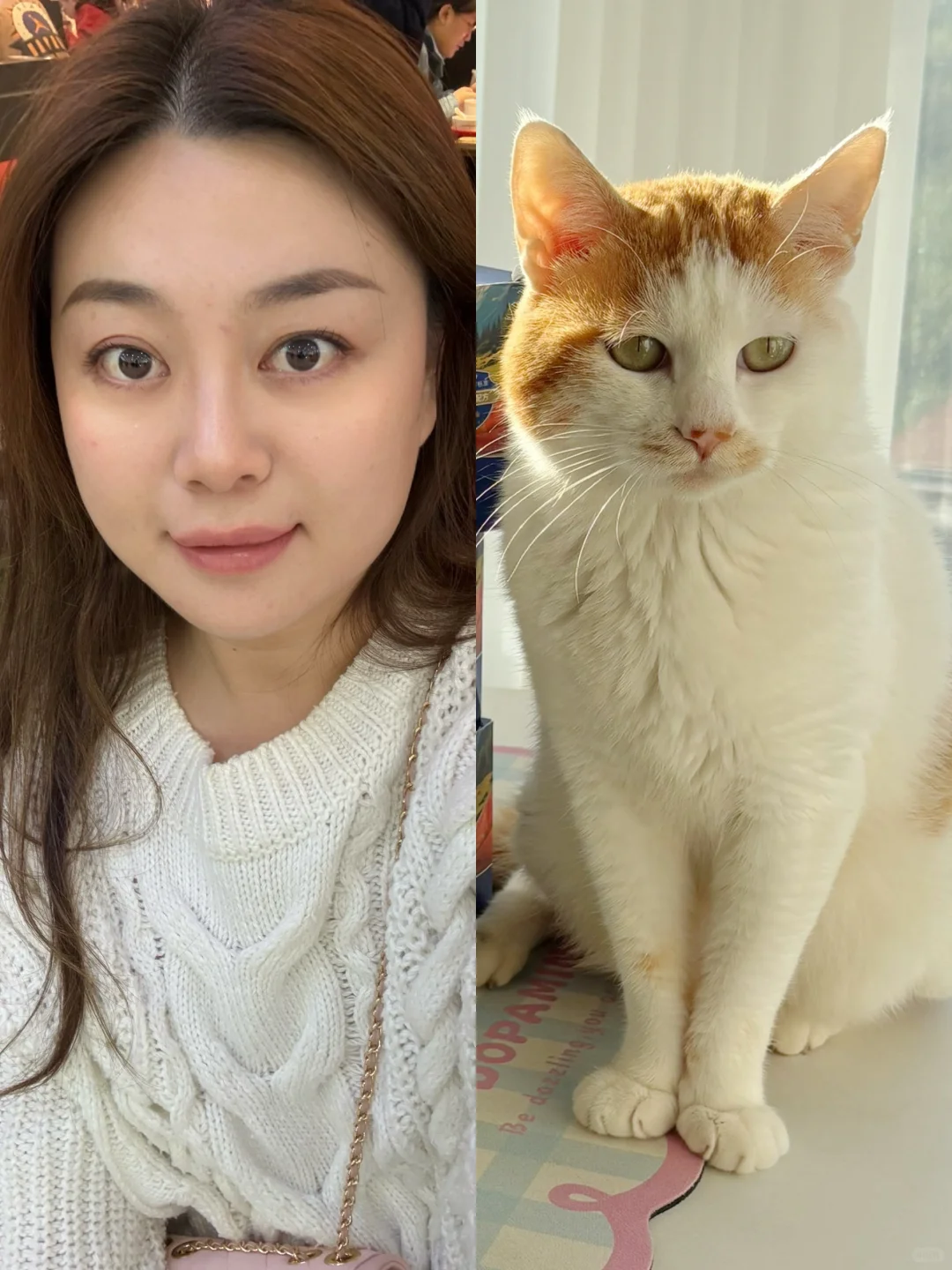 跟小猫越长越像了，这可怎么办