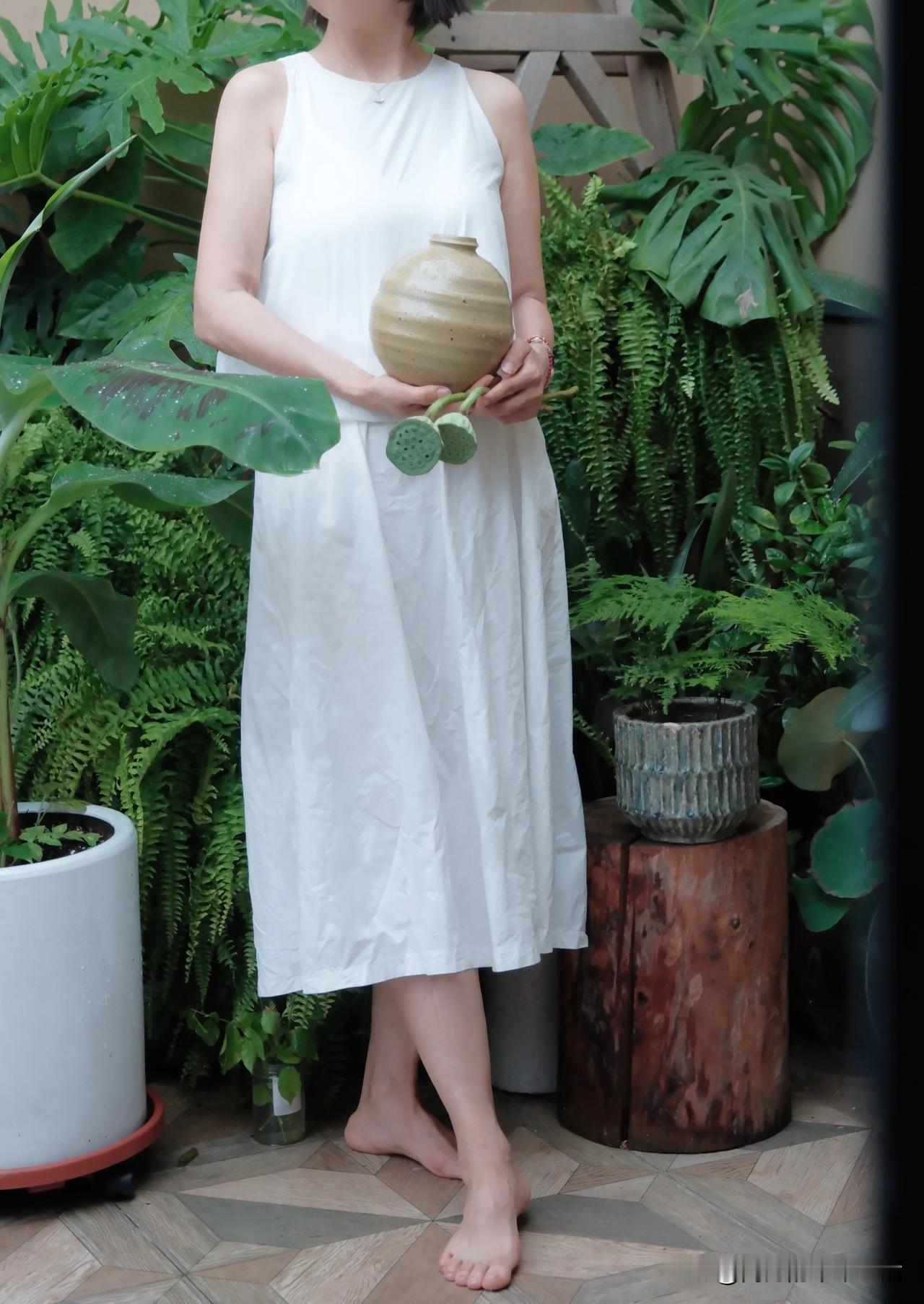 寻常静好
小院芭蕉时节

田园修心小院 芭蕉小院