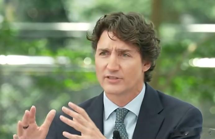 加拿大前总理特鲁多指出，美国主导的西方内部经济打压，以及美国对加拿大的关税威胁，