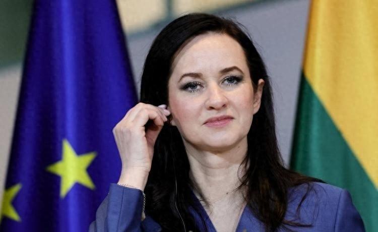 立陶宛作出表态，支持美国在霍尔木兹海峡的军事行动，很可能会选择派兵为美国提供帮助