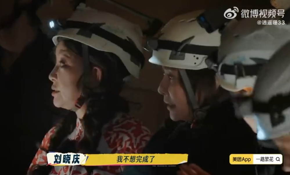 妈呀！刘嘉玲挑战高空项目那画面太有冲击感了。她站在岩壁边缘，双脚止不住地发抖，喊