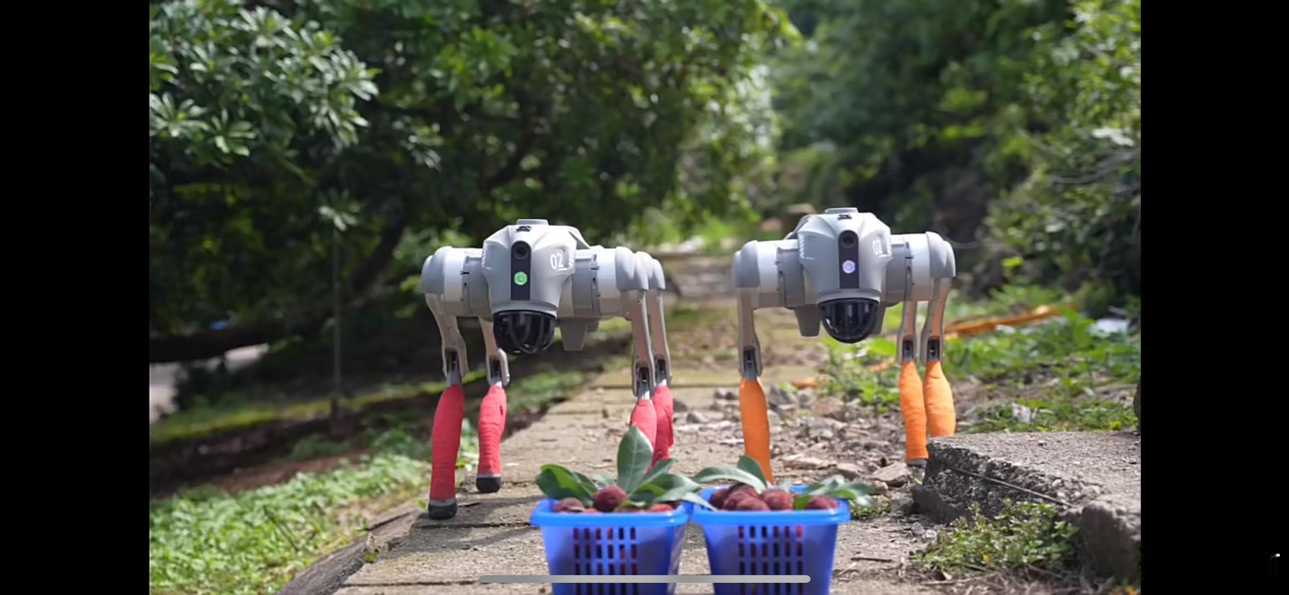 台州仙居90后梅二代的共富答卷 返乡不躺平，杨梅也能闯世界，这才是当代新农人的样