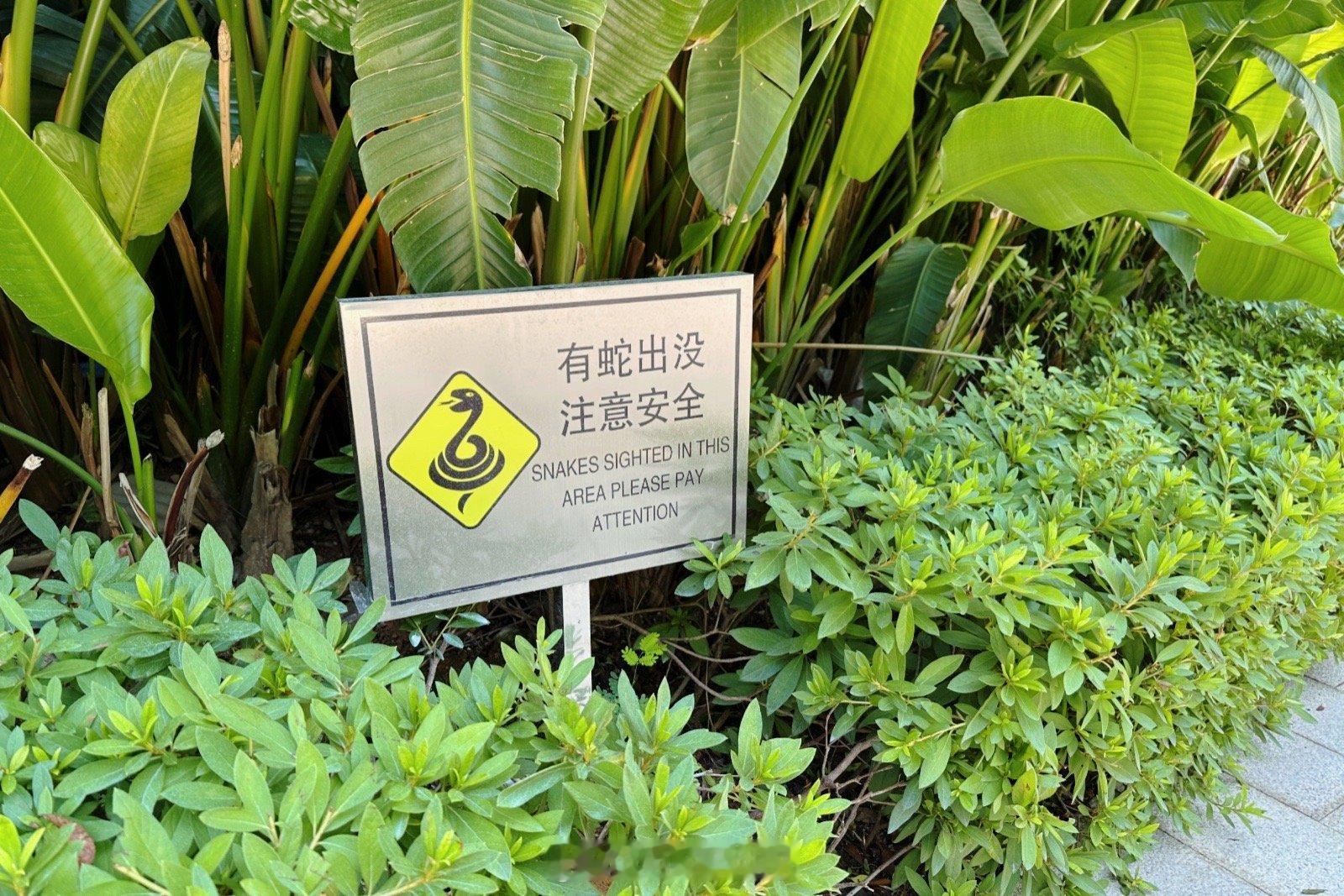 Well,well,well [微笑]随手拍  ​​​