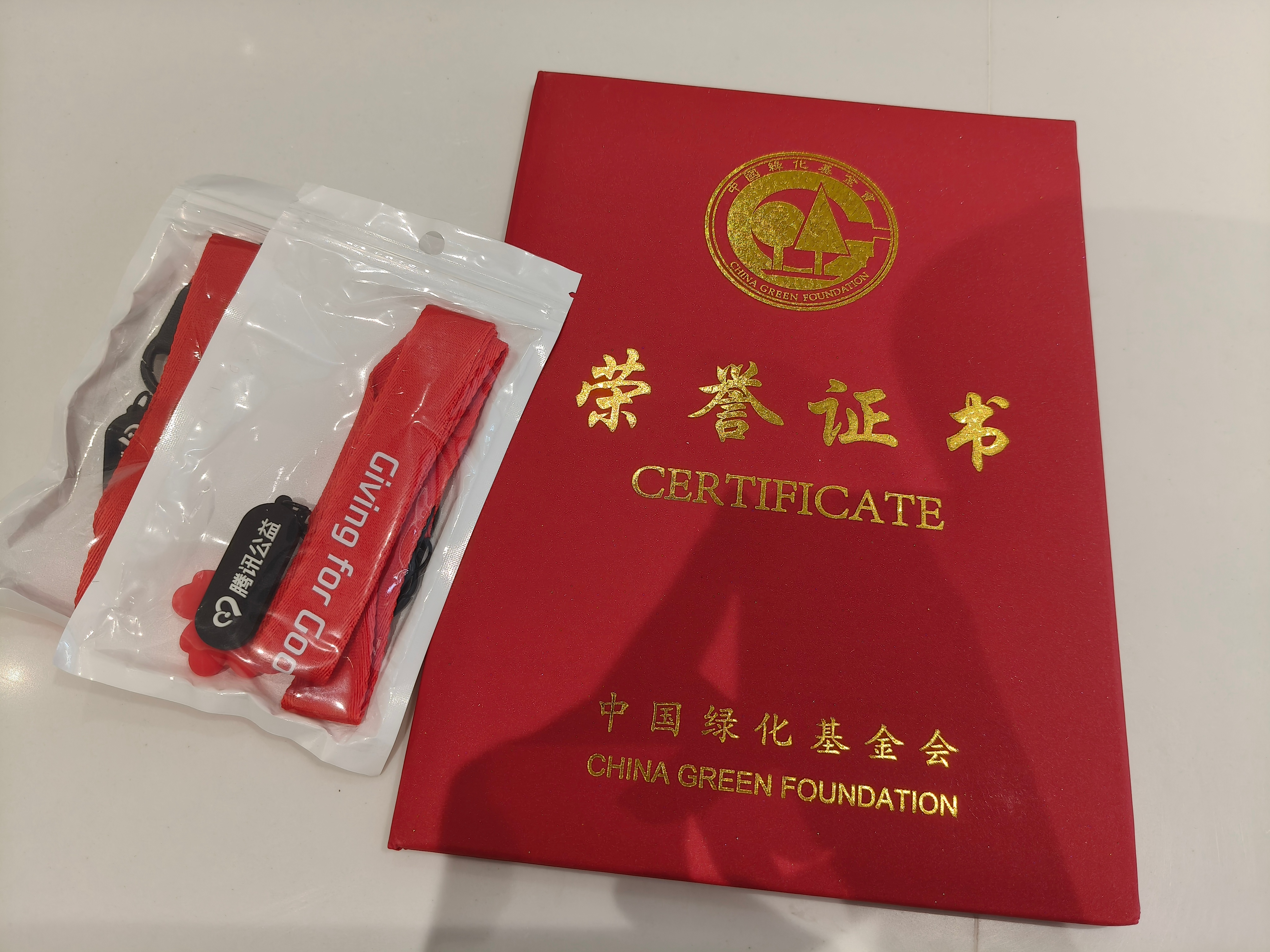 杨幂[超话] ym杨幂正能量 【百万森林计划证书返图】一直以来，我们追随小幂的脚