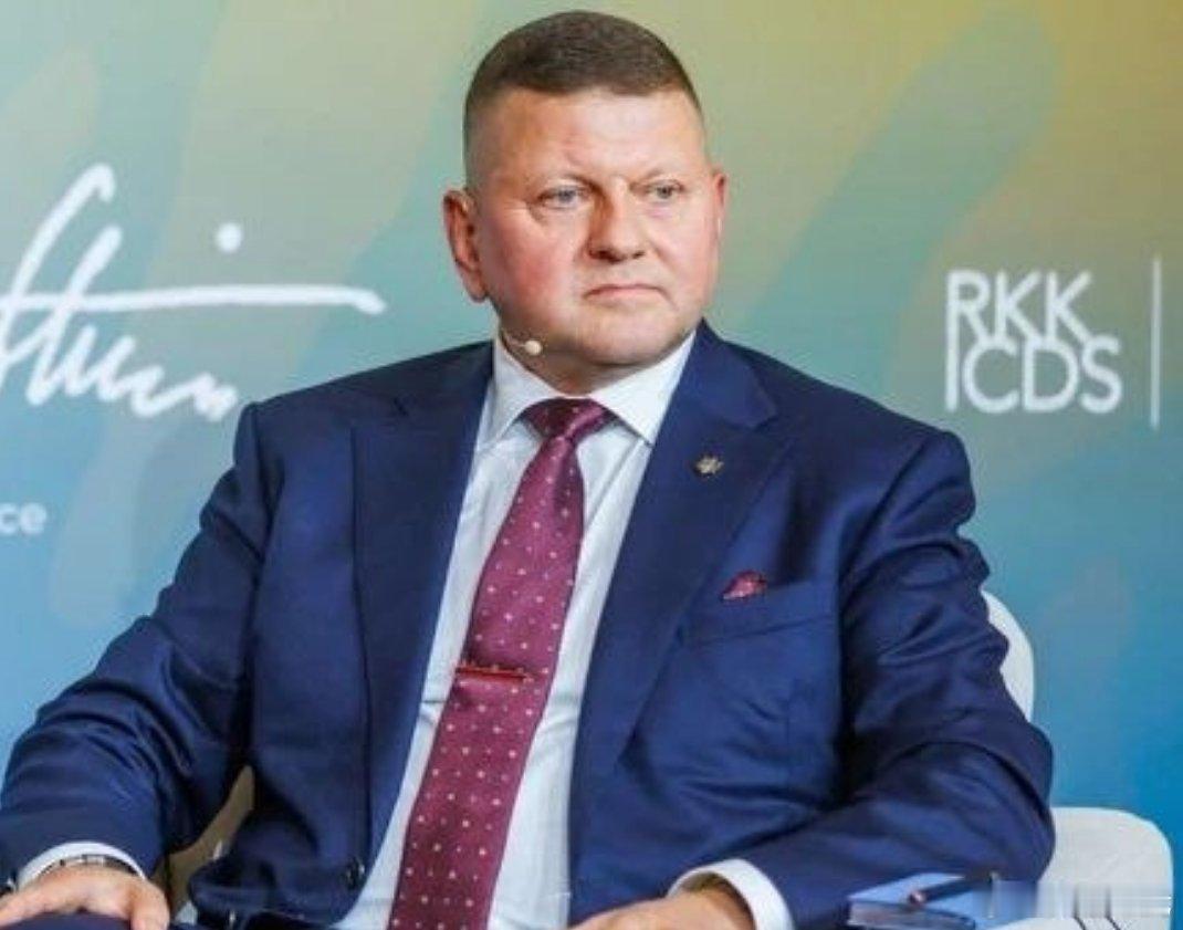 【扎卢日内：很难加入北约，不如另组军事同盟】乌克兰🇺🇦驻英国大使扎卢日内表示