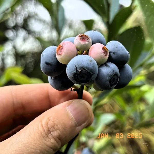 感恩遇见，这是心底最温暖的声音。
就如在我迷茫之际，朋友那一句“我陪你”，刹那间