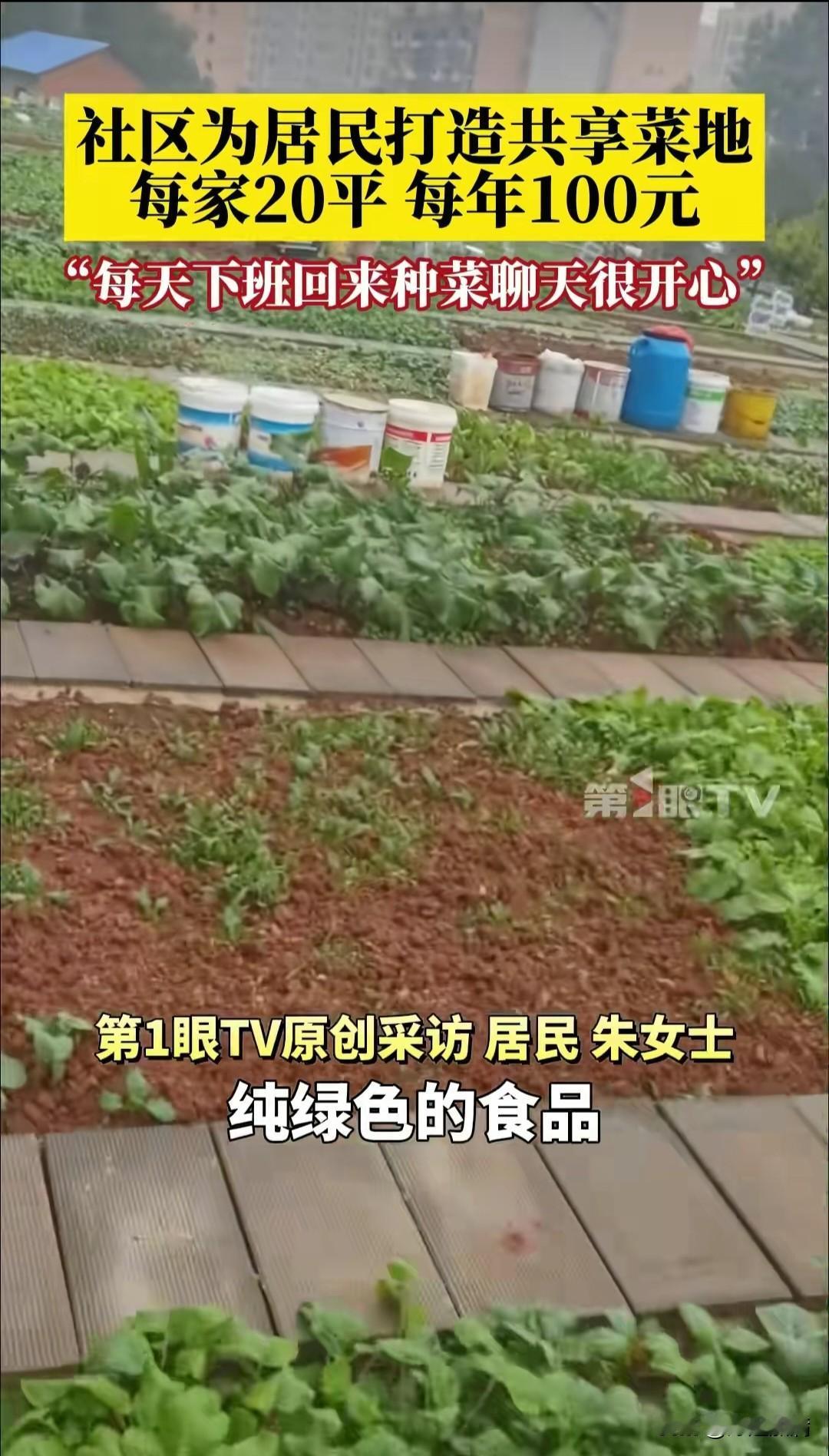 可以种菜的小区你会喜欢住吗

湖北武汉一社区为居民打造共享菜地，每家分配20平，