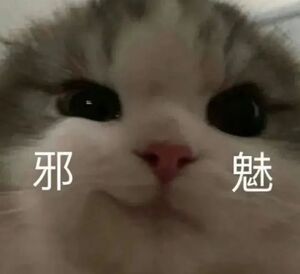 每天感觉腿快废了的时候，第二天又活力满满了 ​​​