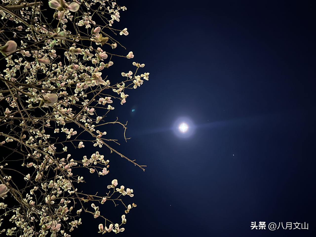 咱普通人想搞钱，是不是天天陷在越忙越穷的死循环里？每天从早忙到晚，上班惦记着副业