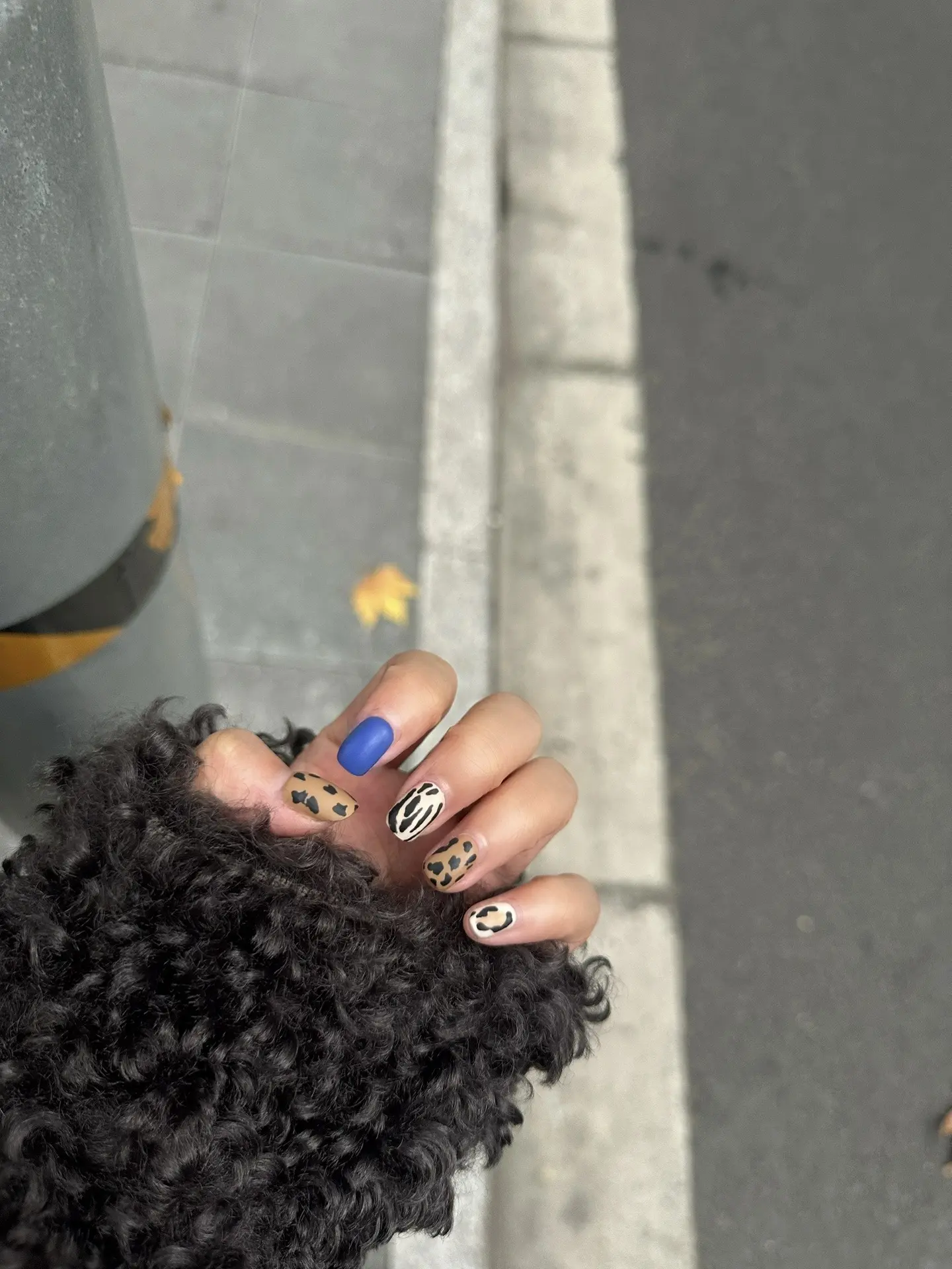 🍂秋。