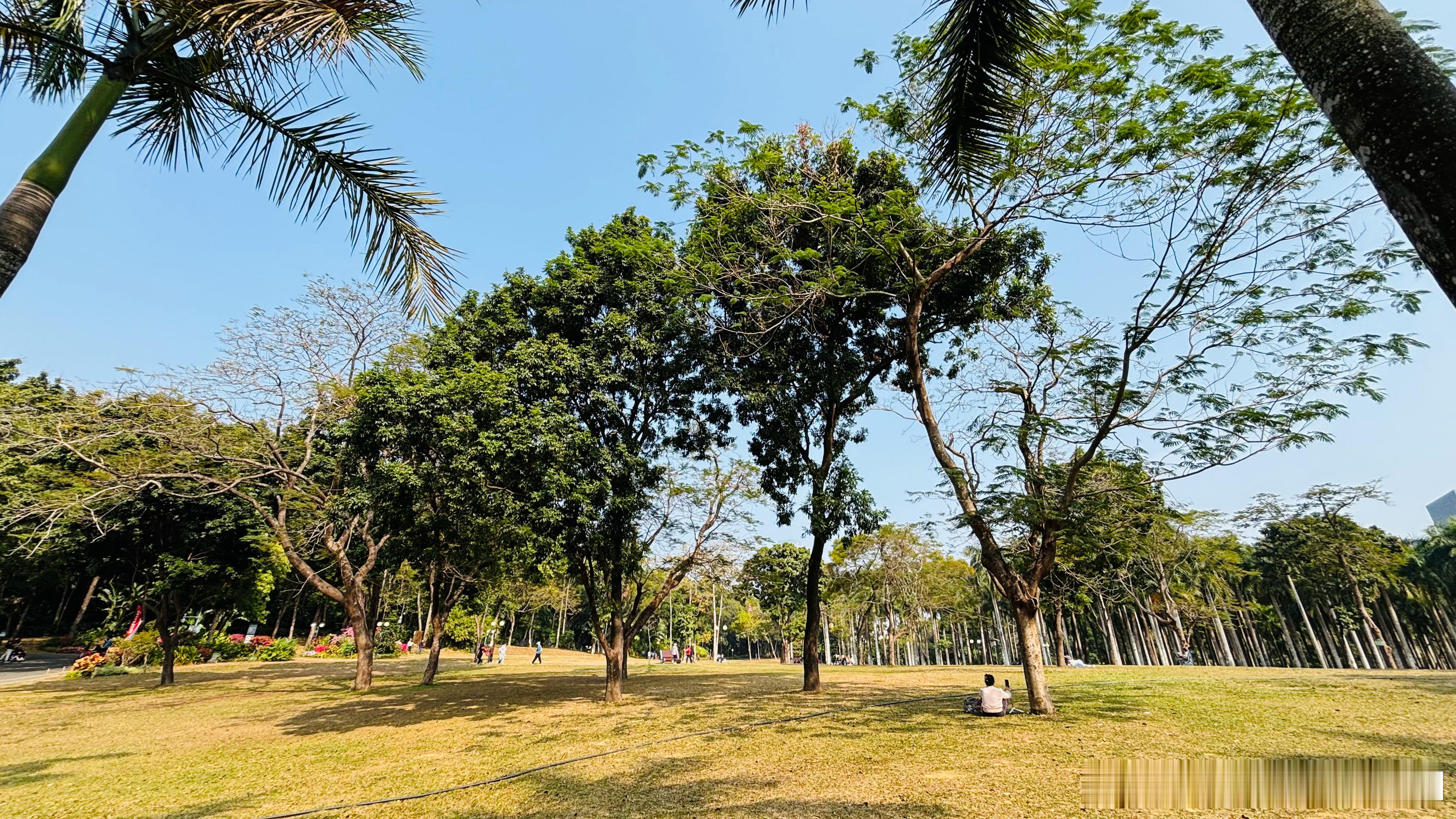 一场两场战争，一次两次降息，都不足以让黄金和白银涨成这副烂样子。哪怕是二战，黄金