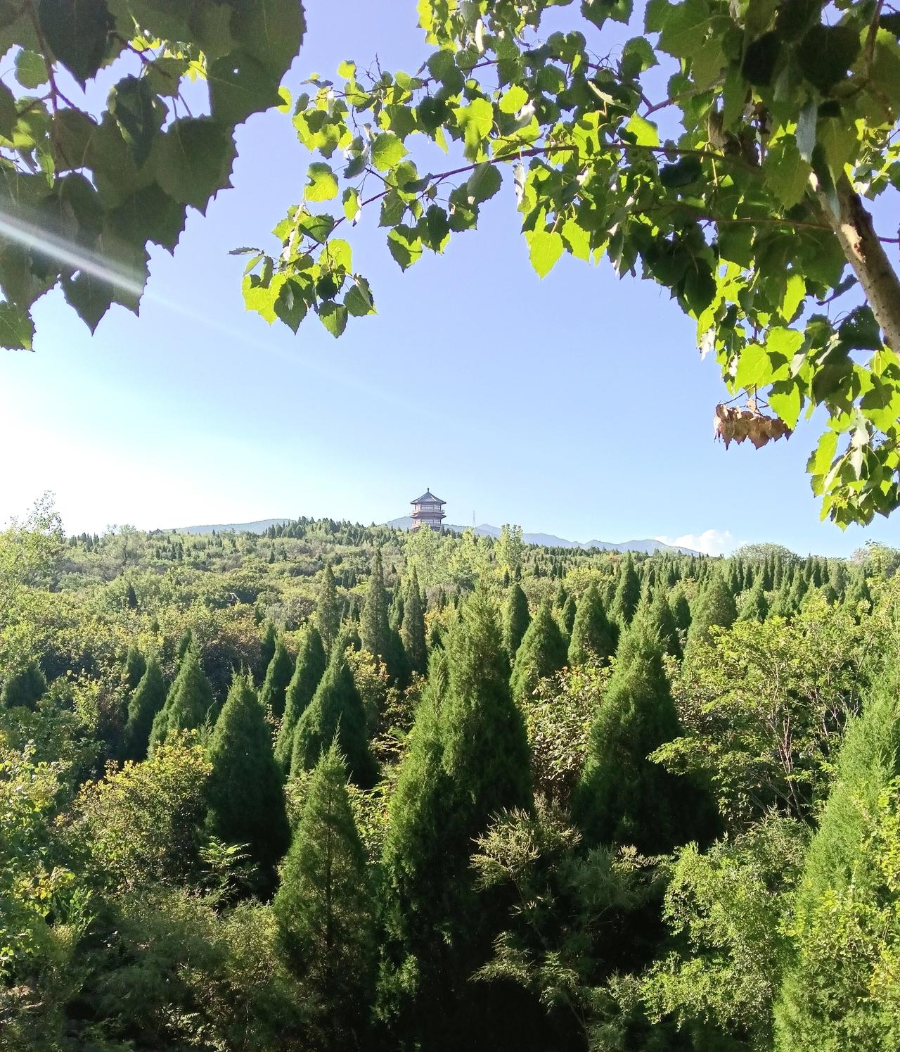 病人看病越来越难,如何解决? 医术精湛的医生都在大医院，先进的医疗设备在大医院，