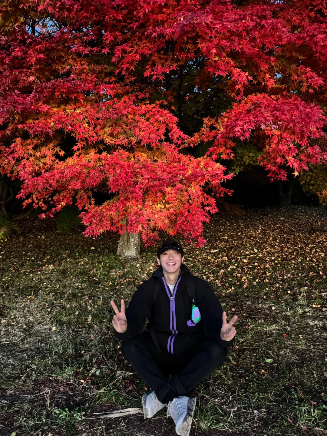 在富士山遇见了五光十色的秋！