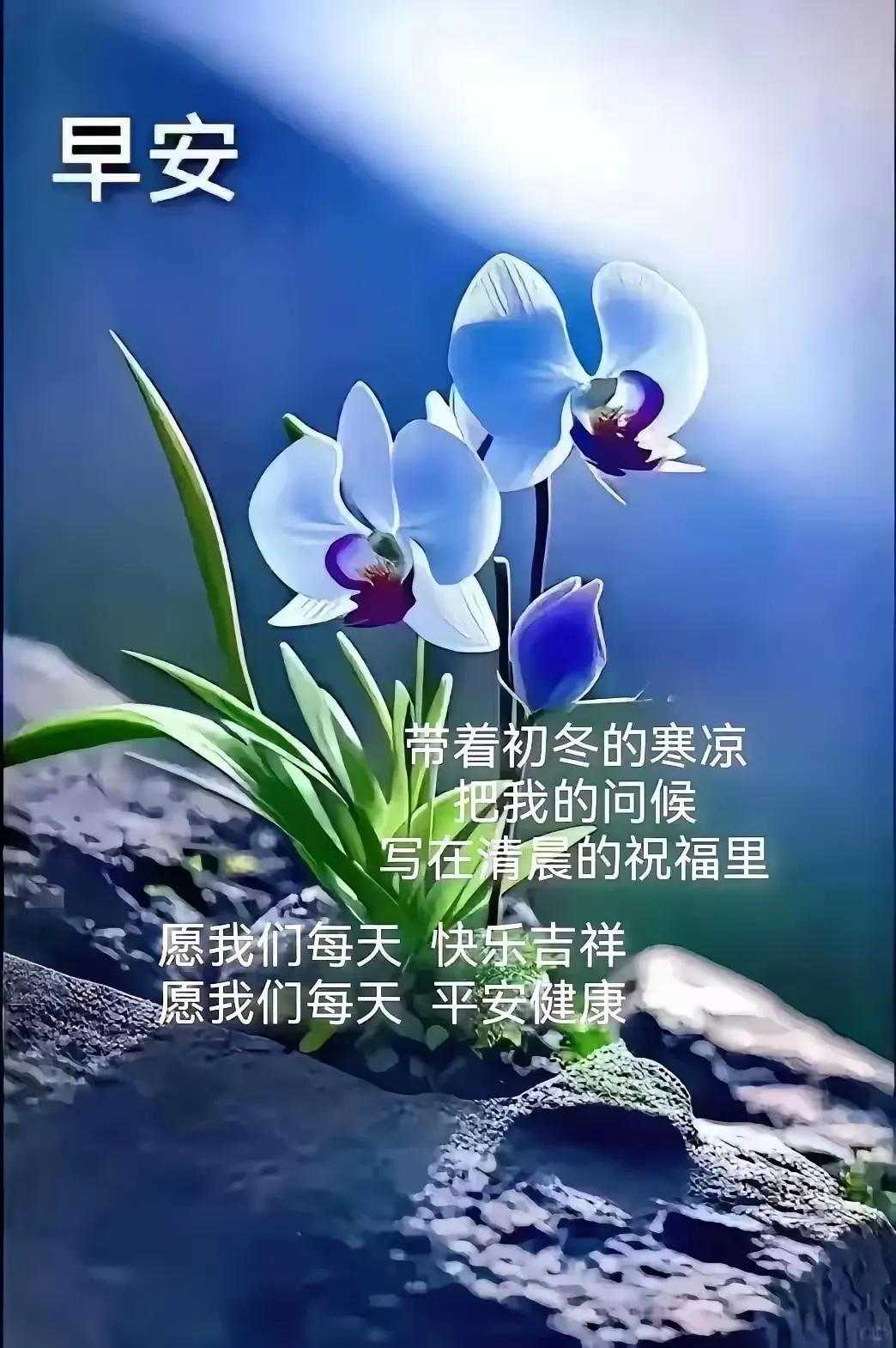 早安，愿你每天快乐吉祥，平安健康。早安愿您平安