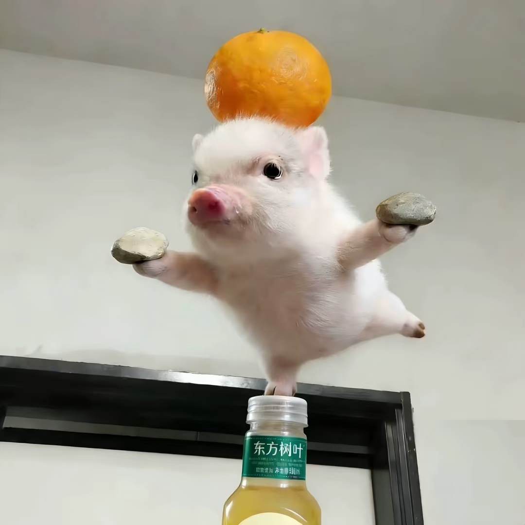 跟我养个铁吧
