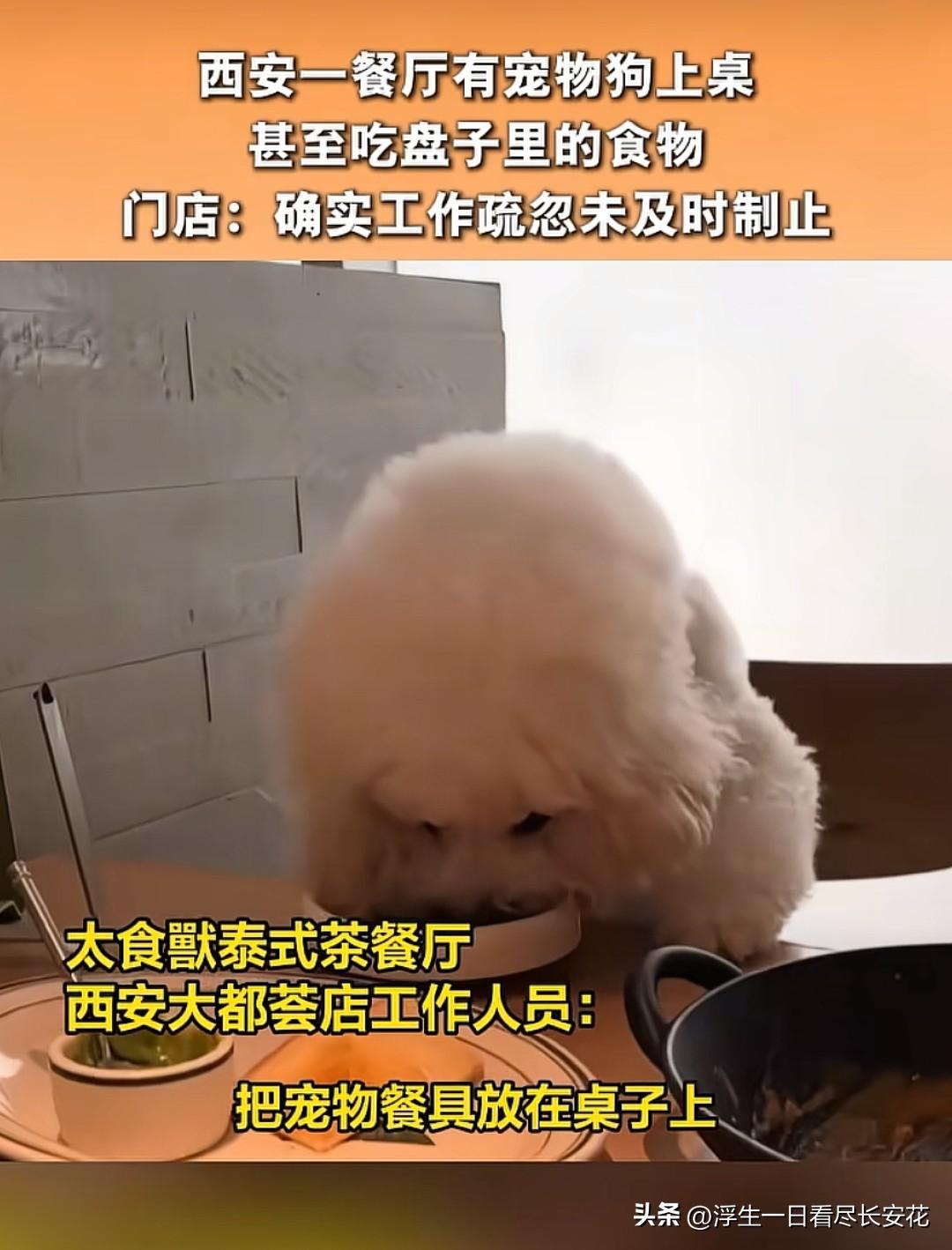西安太食兽茶餐厅的这场闹剧，暴露出的不仅是个别商家的管理失职，更是整个行业在