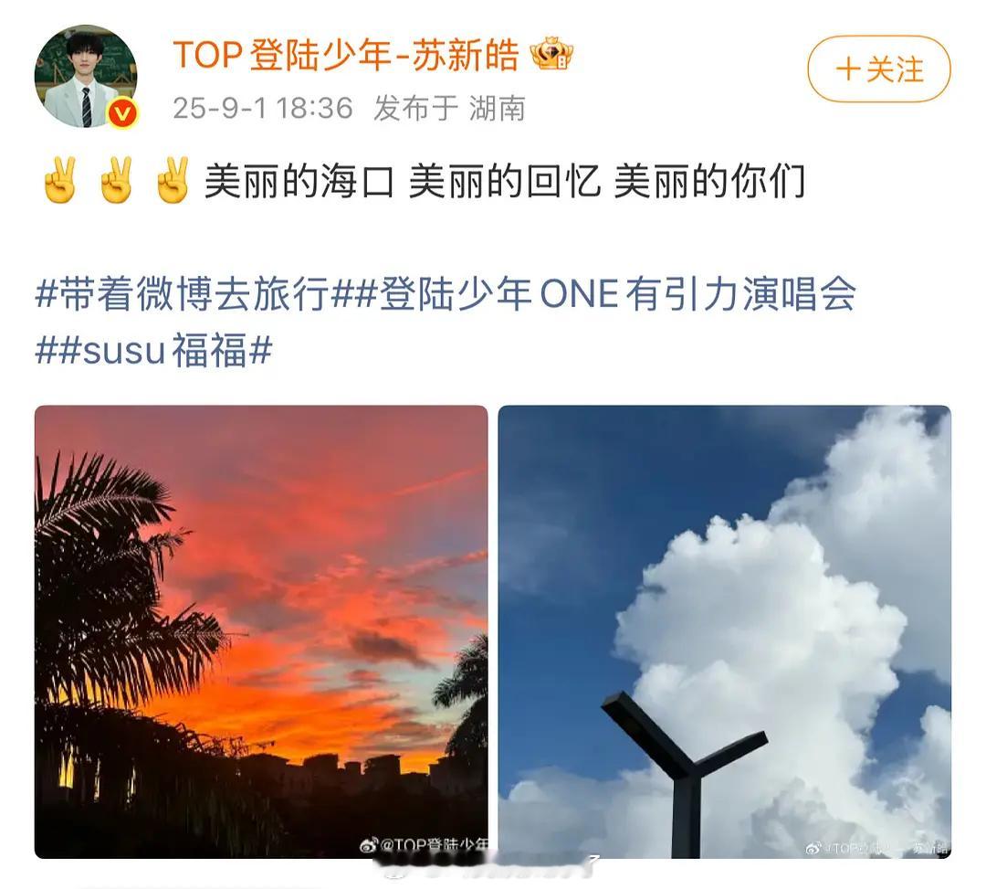 登录少年团的演唱会结束总结每一个人都带了自己的应援色。是不是对唯粉很友好了？[柯