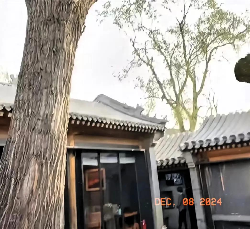 汪小菲家的四合院还真是气派了。很多人觉得他落魄，其实他家底还在。他的前夫突然翻身