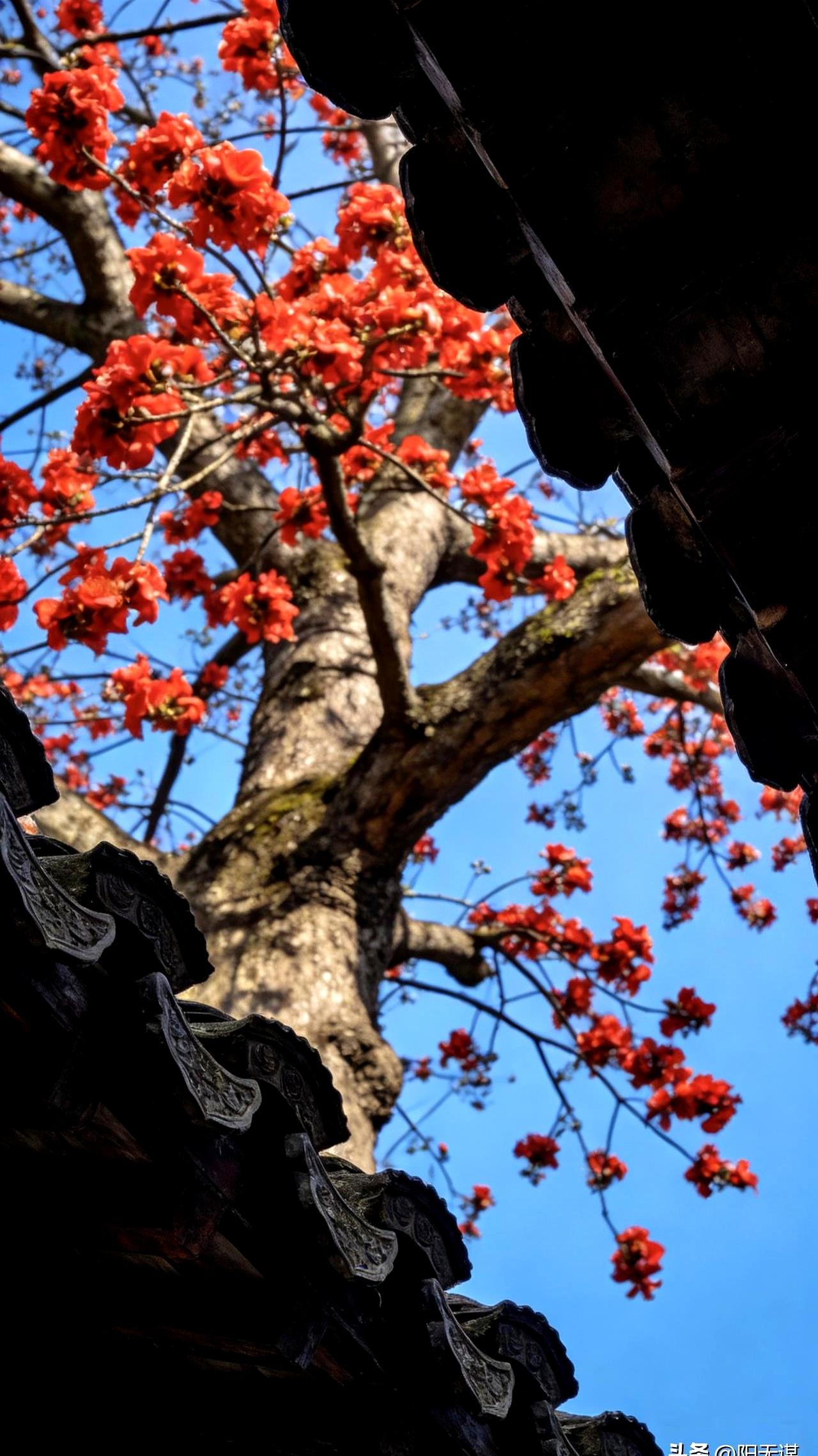 男人憋太久真能“脱胎换骨”？
别被忽悠了！
最近看到一段话，说男人忍住生理需求，