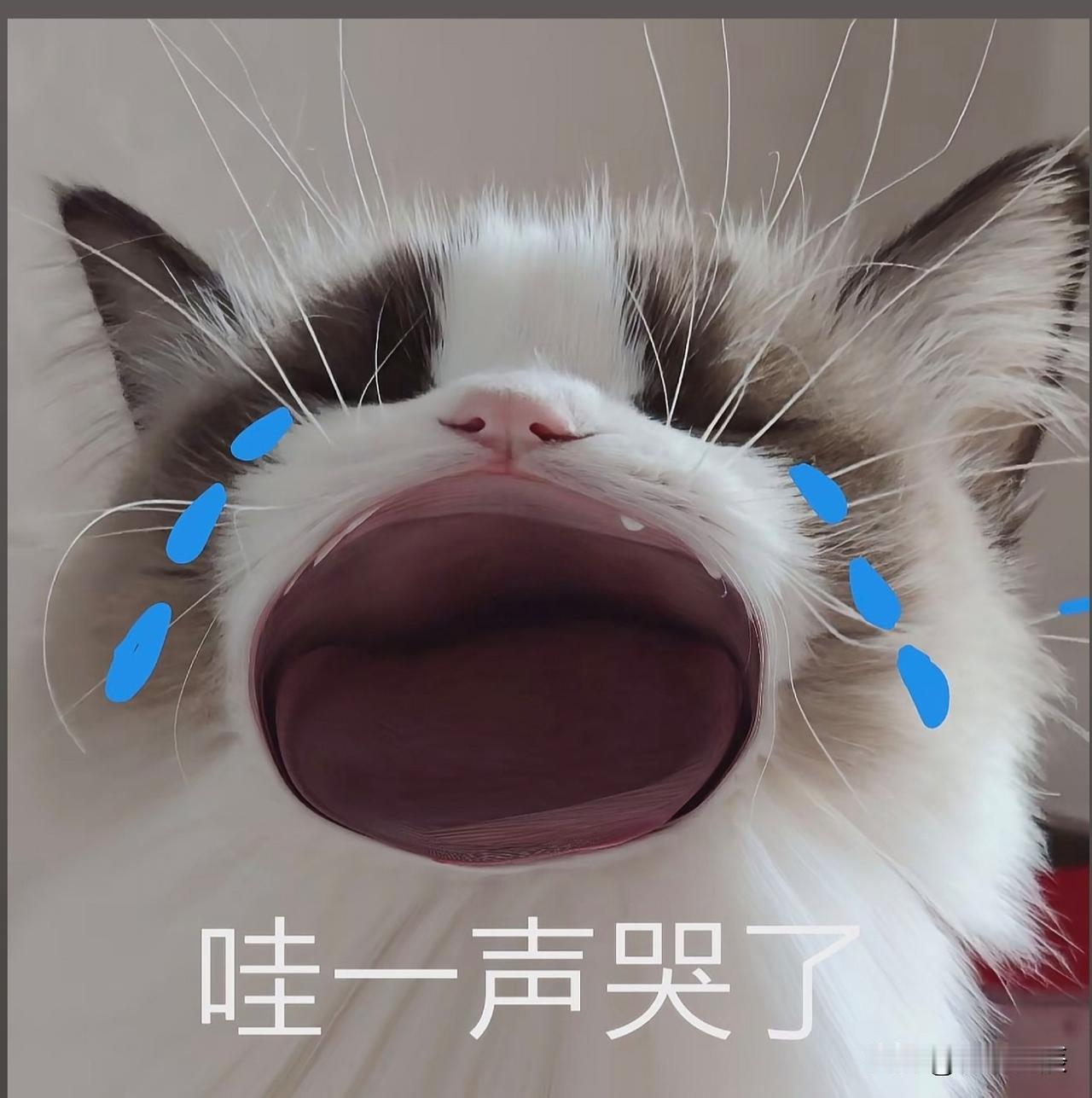 小月子会抑郁吗
忍了好几天
今天终于忍不住了
强逼着自己完成一天的工作
然后手机