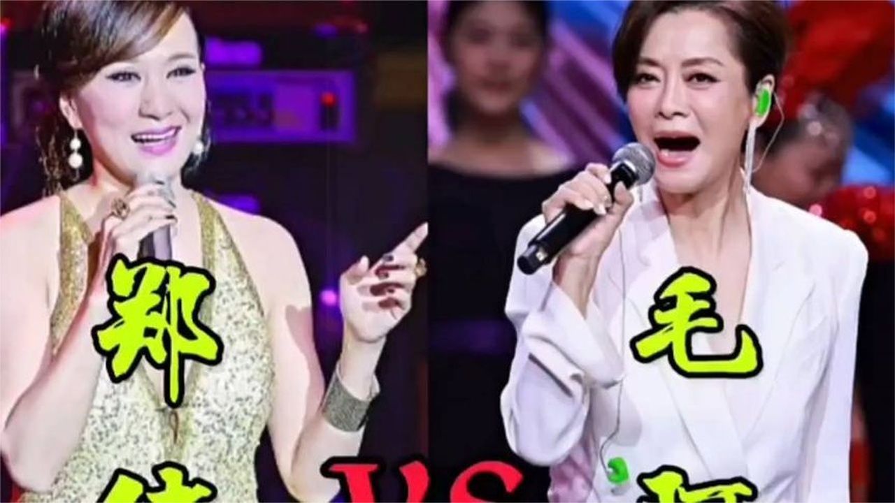 郑绪岚VS毛阿敏，同唱一首歌歌，各有特点，歌坛精英你更喜欢谁