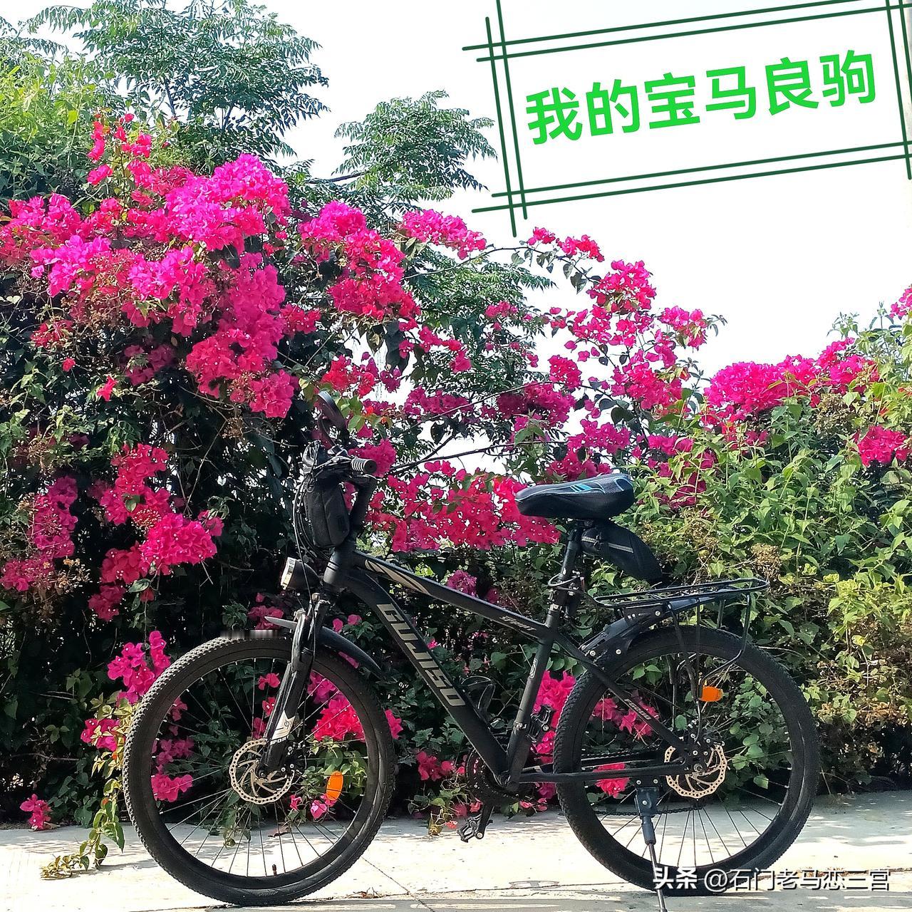 把“少年夫妻老来伴”这事儿，像剥洋葱一样，用生活里的点点滴滴，讲得那叫一个明明白