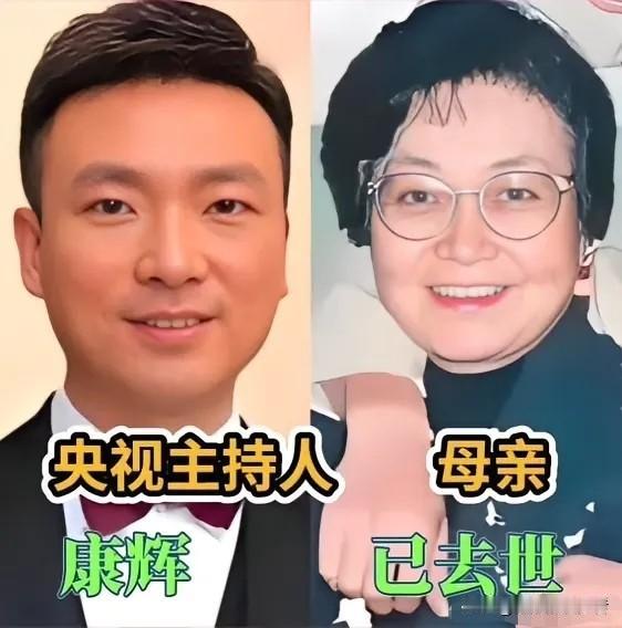 聚光灯下的央视名嘴，总能从容把控全场，而褪去荧幕光环，他们和母亲同框的模样，藏着