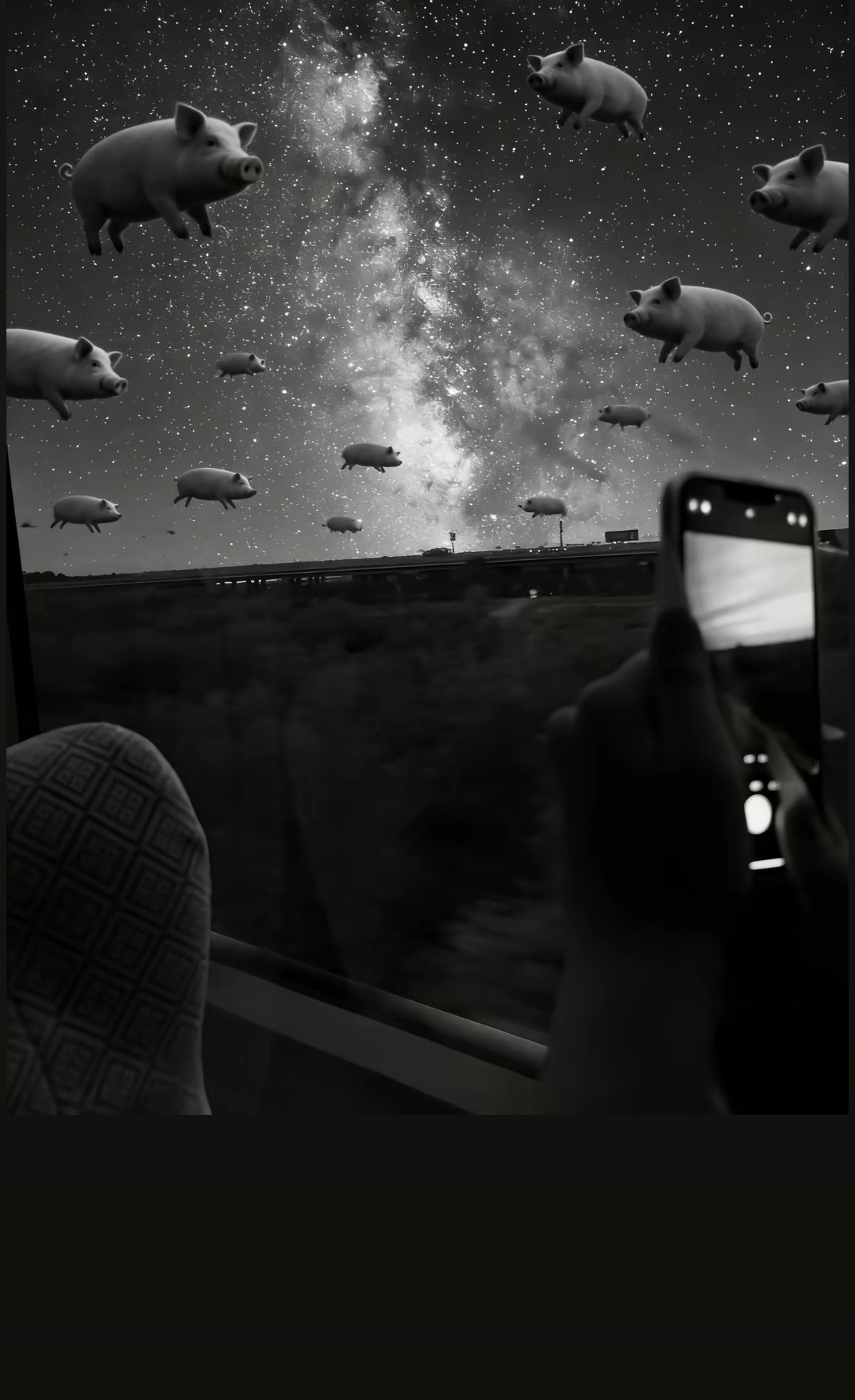 人类无法飞翔或许是心太重。 