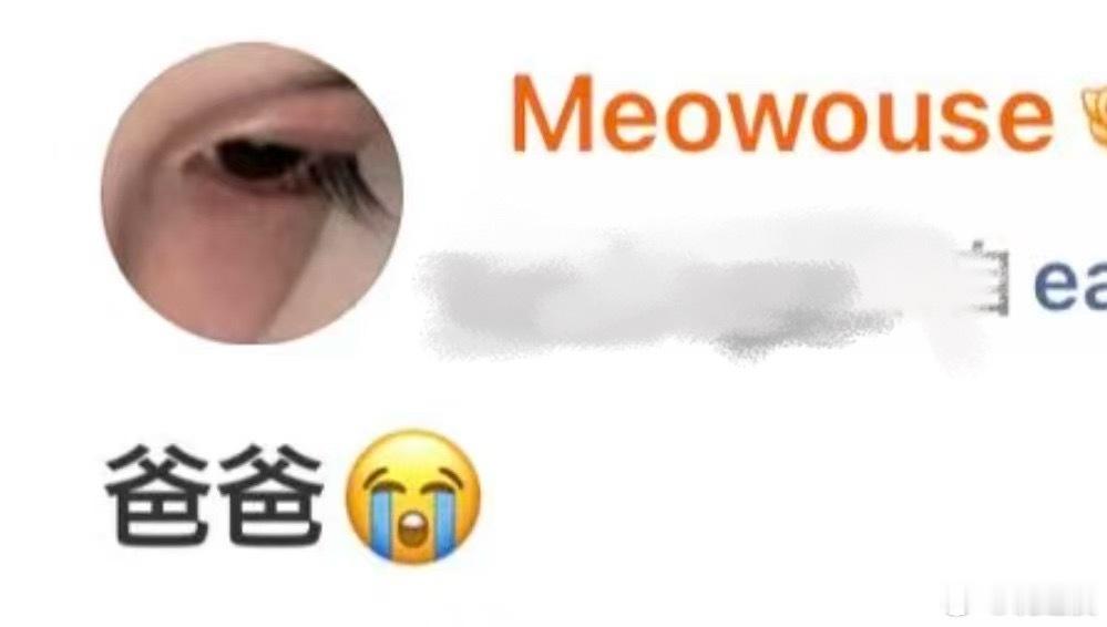 每日萌宠打卡