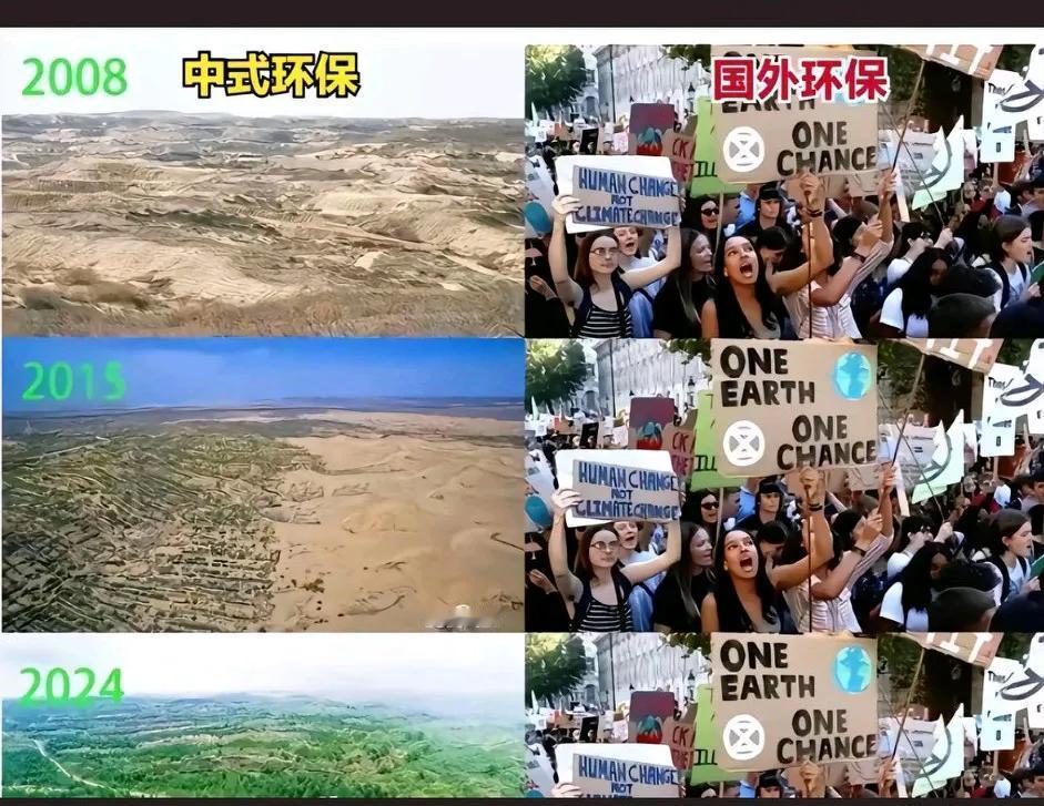 统计数据包括中国：全球森林覆盖率增加！[大笑]
   统计数据去除中国：全球森林