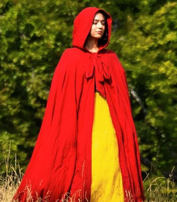 《白雪公主和七个amigo》的故事，这是之前我看过的一个版本， 从哪看的忘记了毒