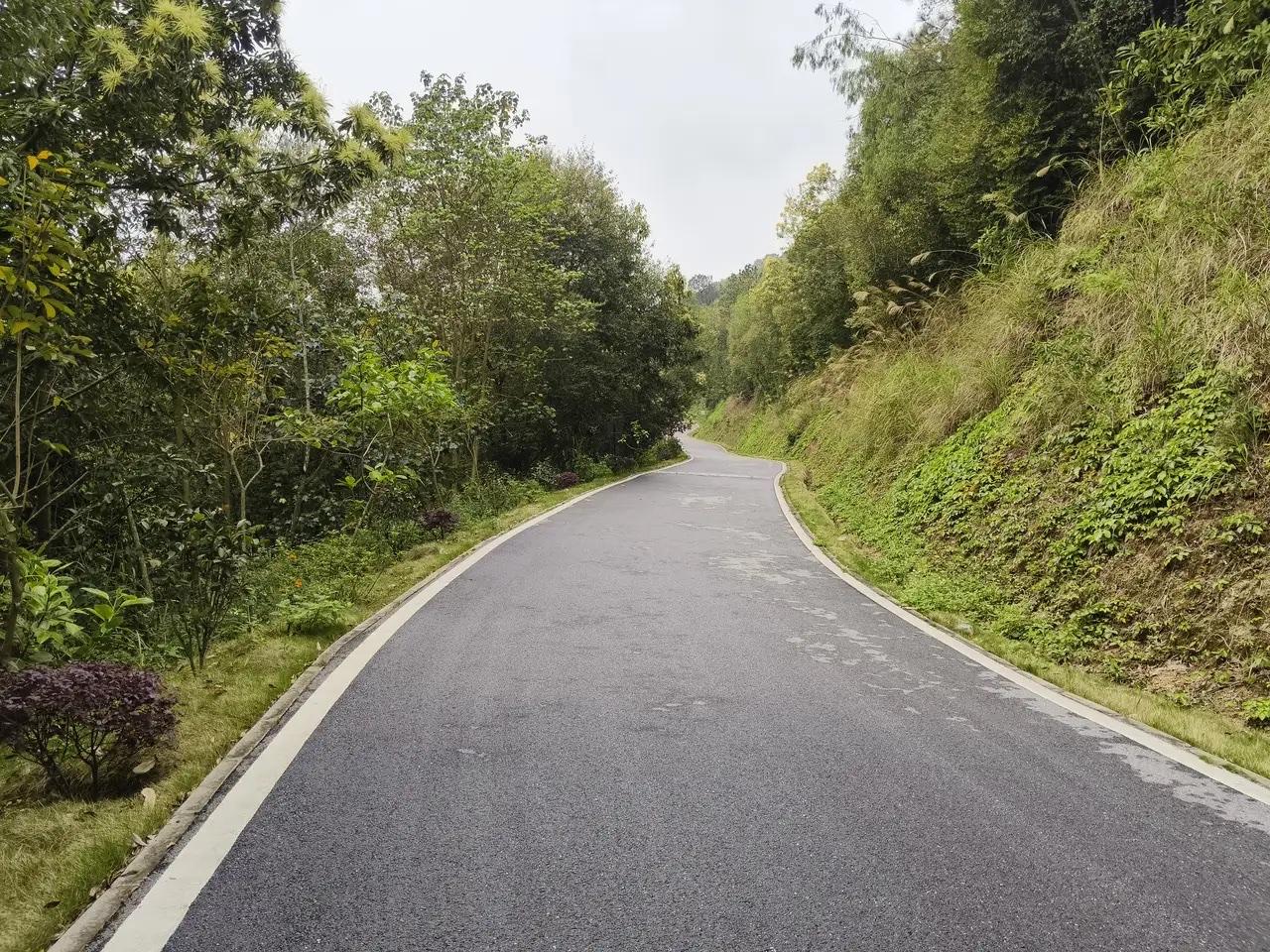 生活最重要的是什么说到底，生活最重要的，就是好好活着，好好爱人，也好好爱自己。