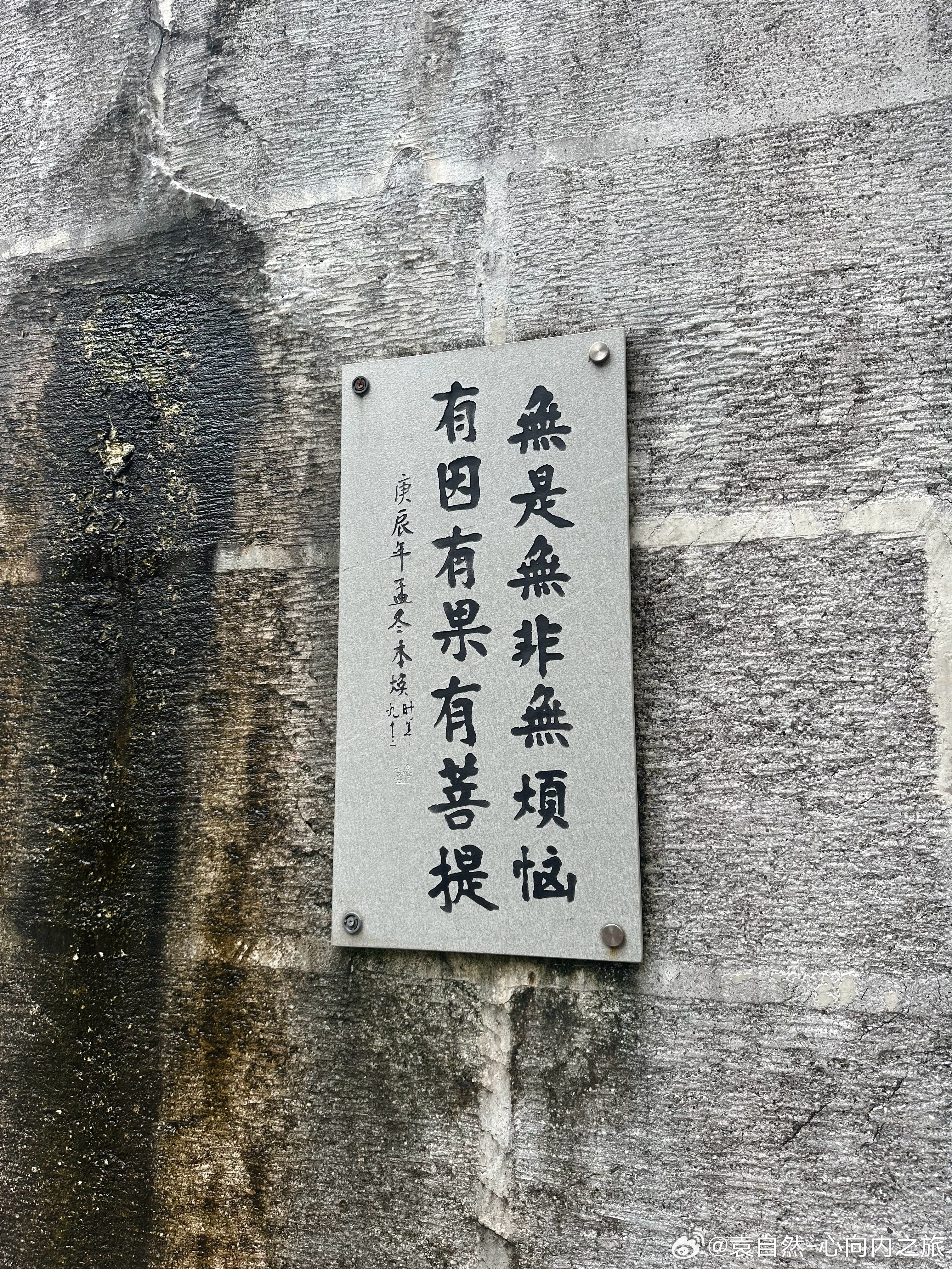 万缘放下 
