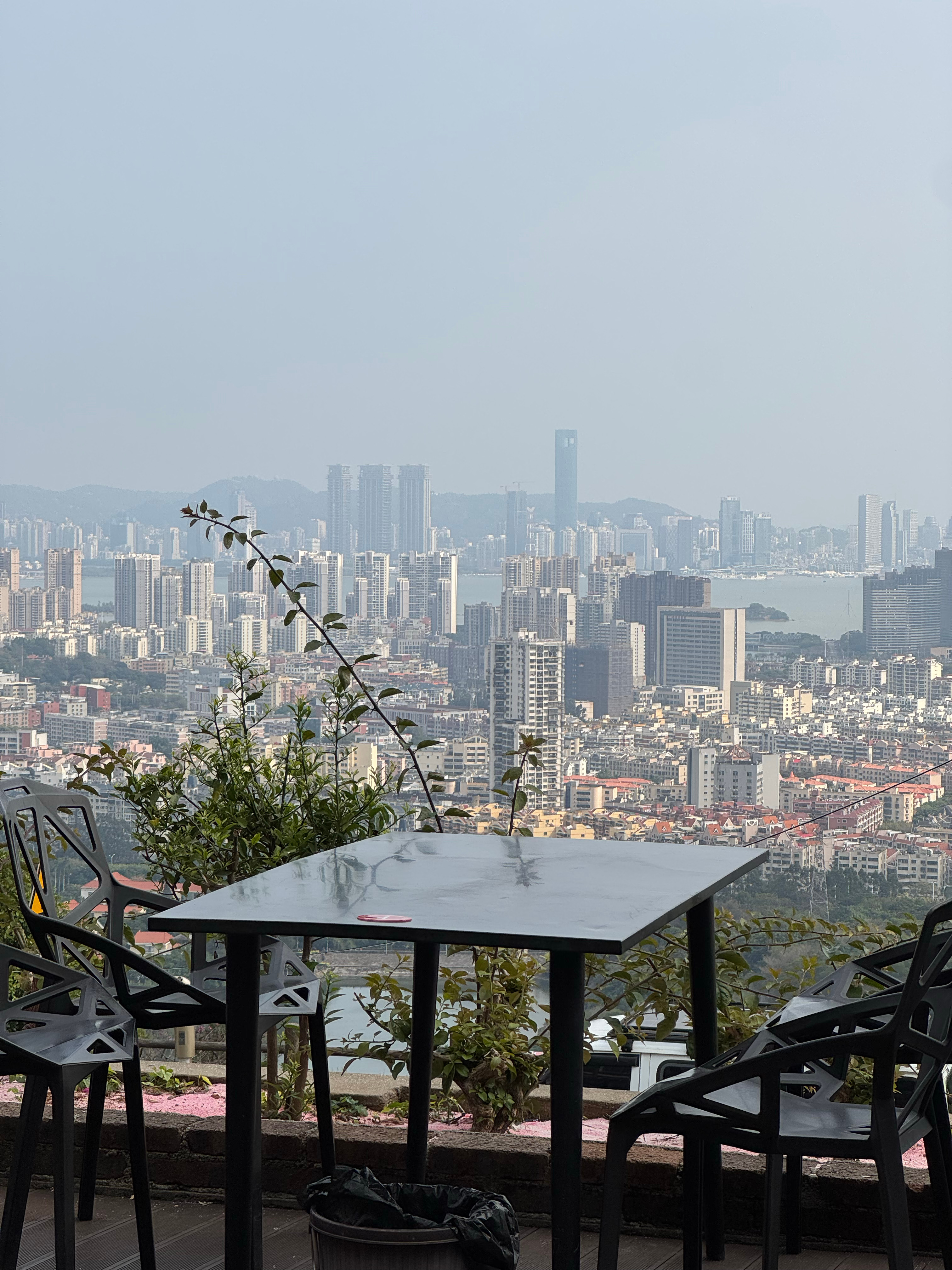 就问牛不牛！！！走了三个多小时，八公里，途中几乎没咋休息，今日总消耗709就是把