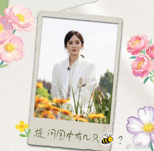 杨幂五月的记忆碎片杨幂抱猫碎片 杨幂五月的记忆碎片，杨幂抱猫碎片，日子愈发明媚滚