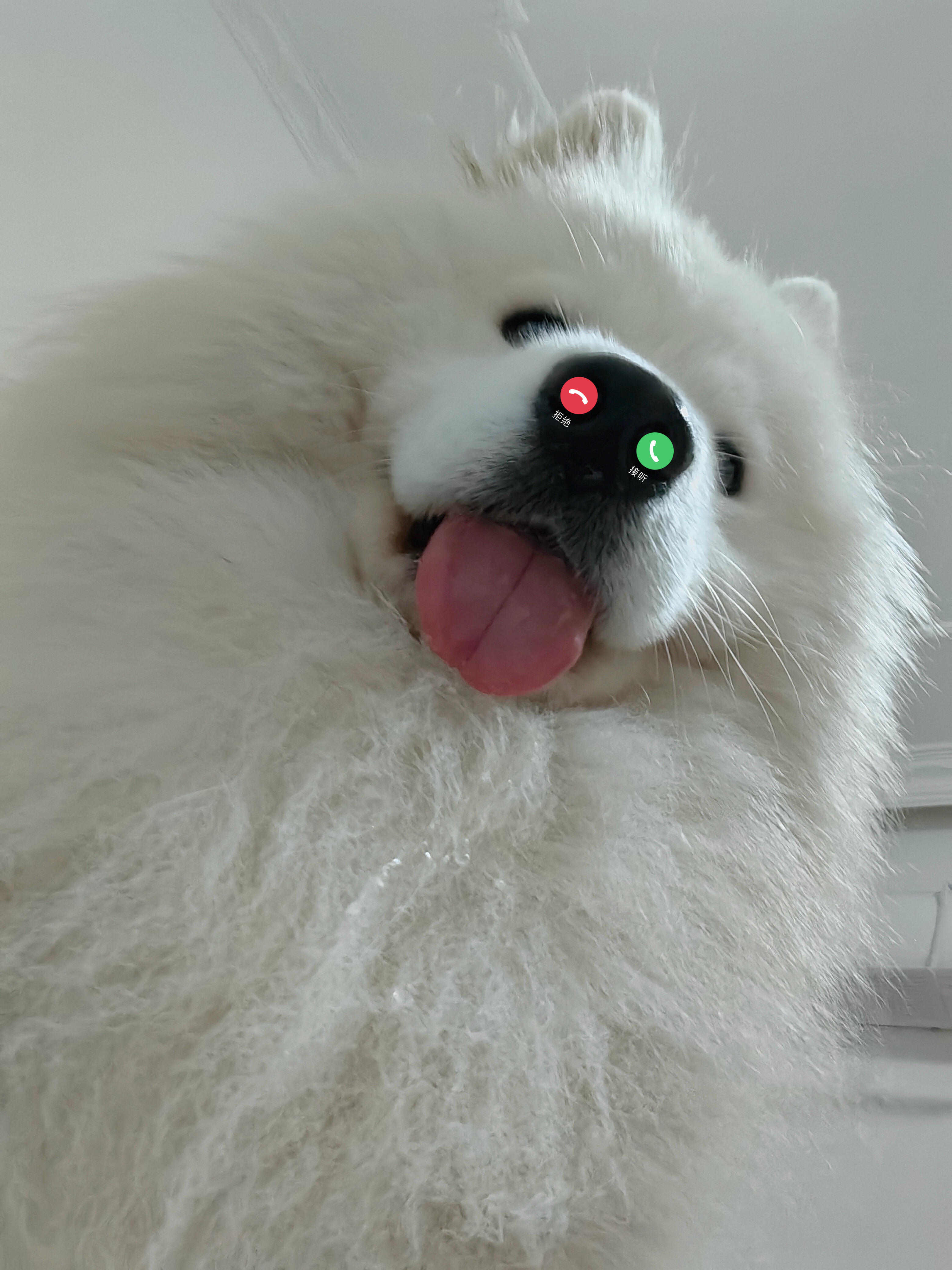 歪，接电话耶 