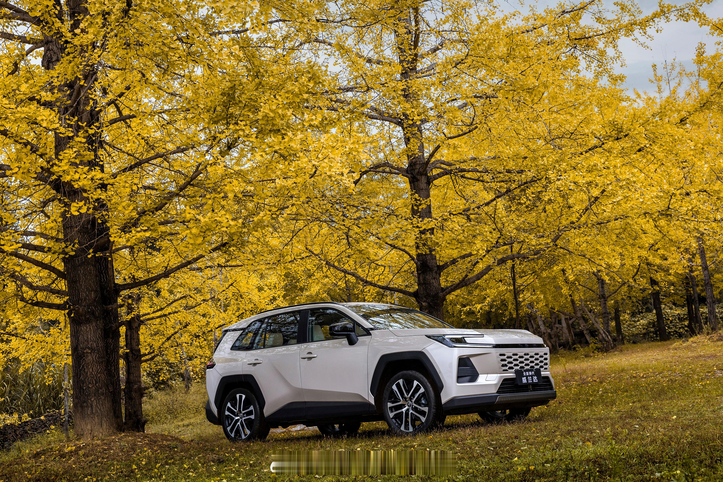 全新的威兰达一会发布价格咱们先看看车这套外观内饰各位觉得怎么样？有竞争力么