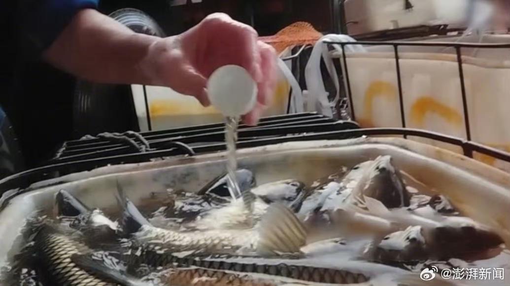 我爱吃鱼，无鱼不欢！近日，央视《财经调查》记者跨越多省多地，深入水产市场、生产企