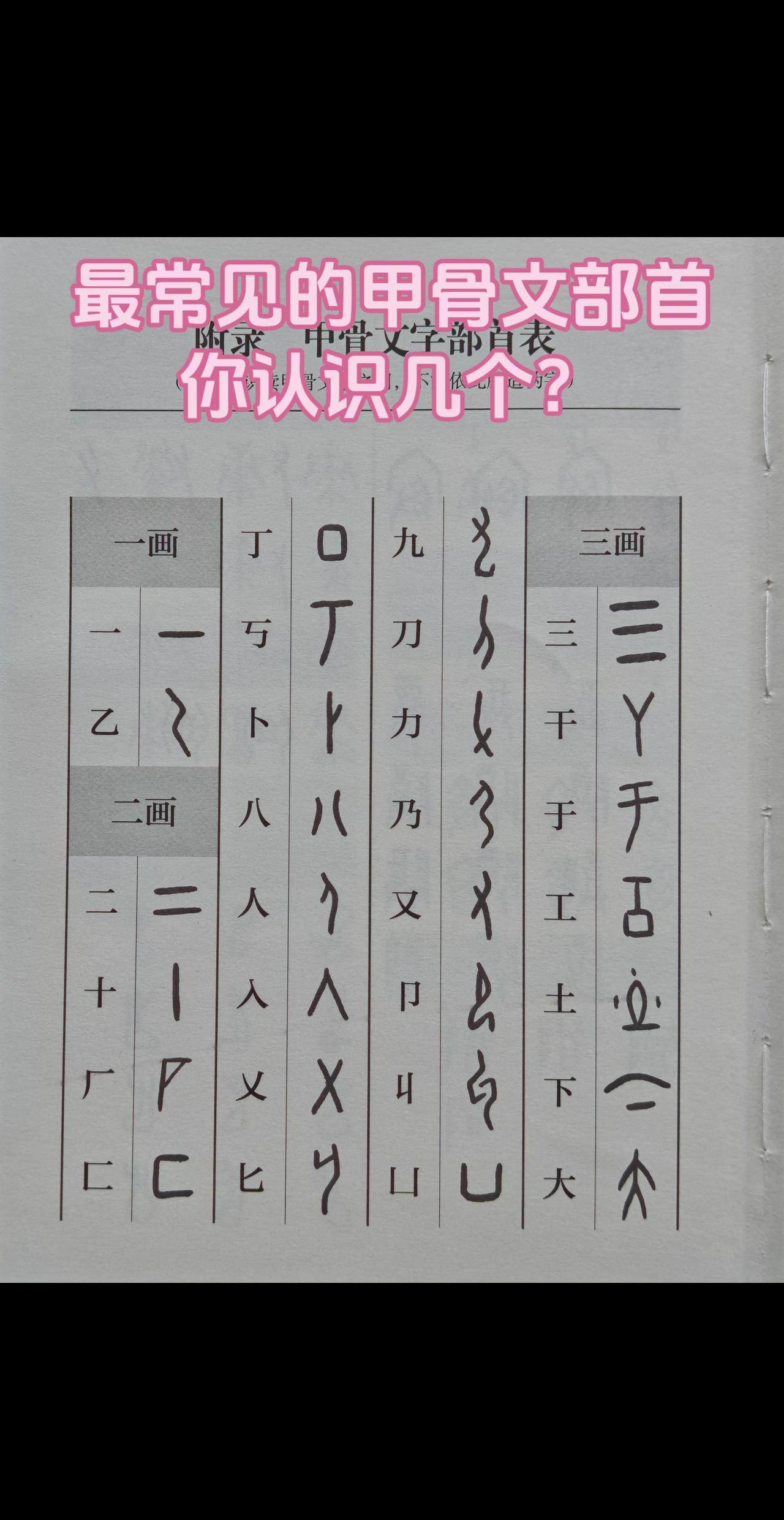最常见的甲骨文部首你认识几个？甲骨文 说文解字