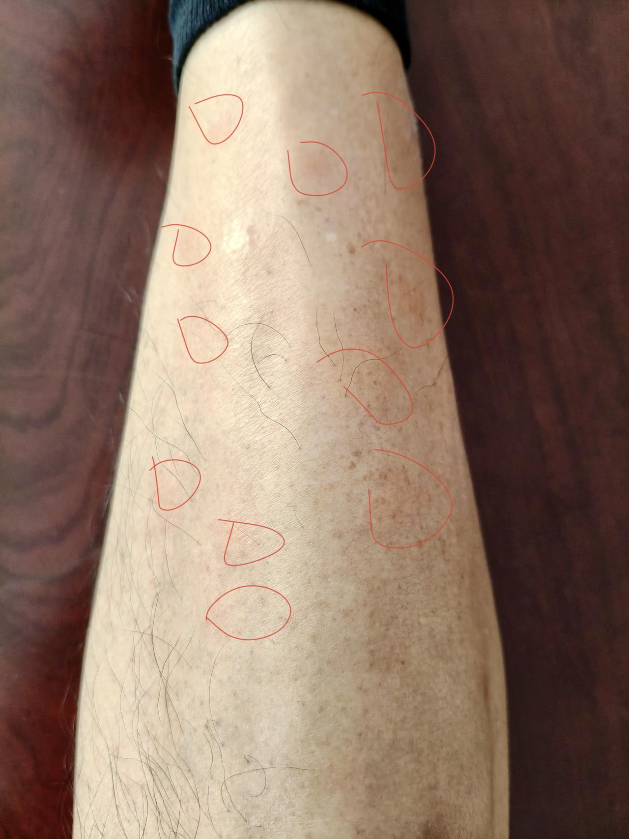 每日生活小记录现在我家有两处住房，一处父母留下的祖房（独门小院）；一处2008年