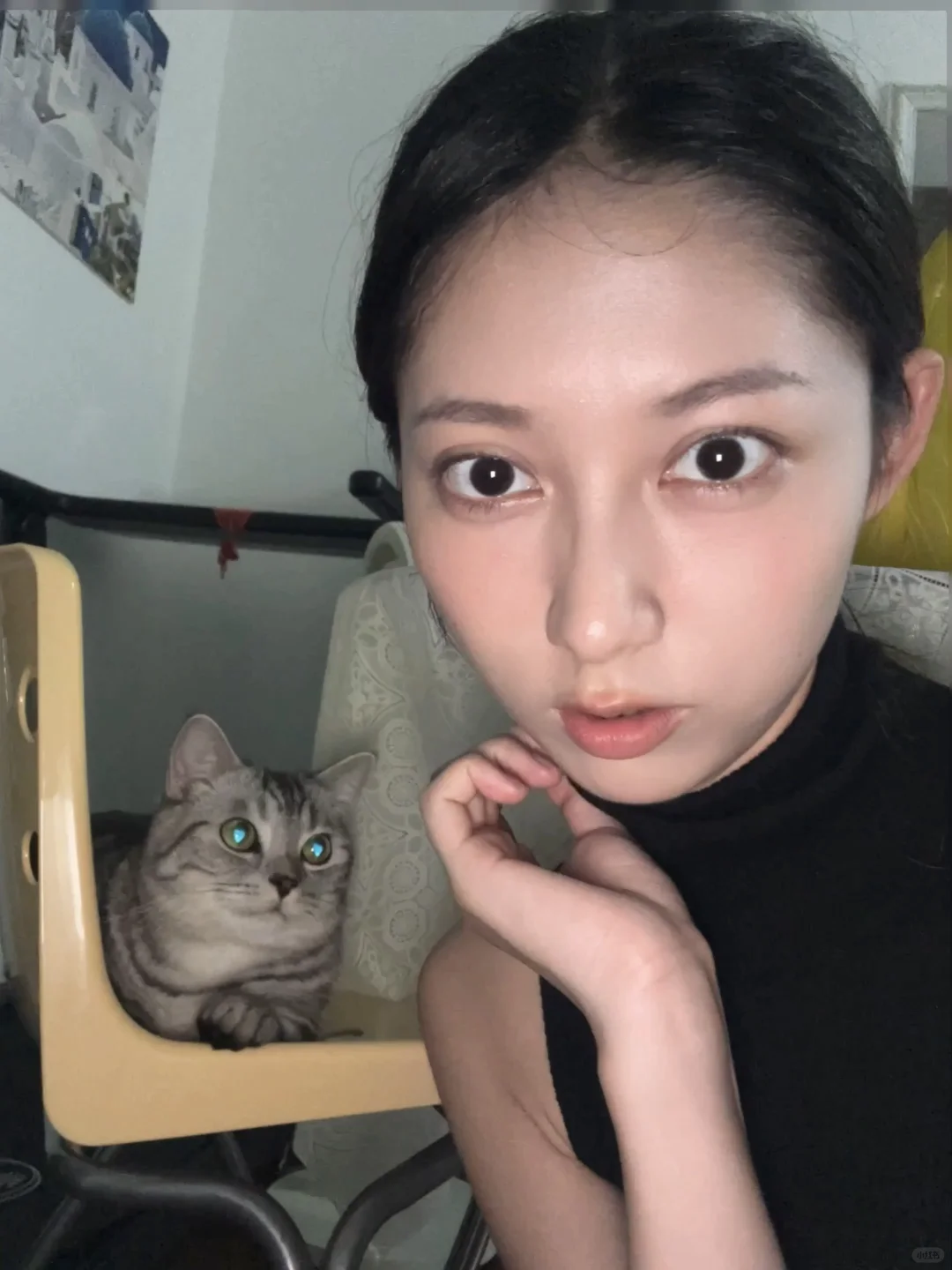 ୧ʕ•̬͡•ʕ•̫͡•♡ ʕ͙•̫͑͡•ʔͦʕͮ•̫ͤ͡•ʔ͙