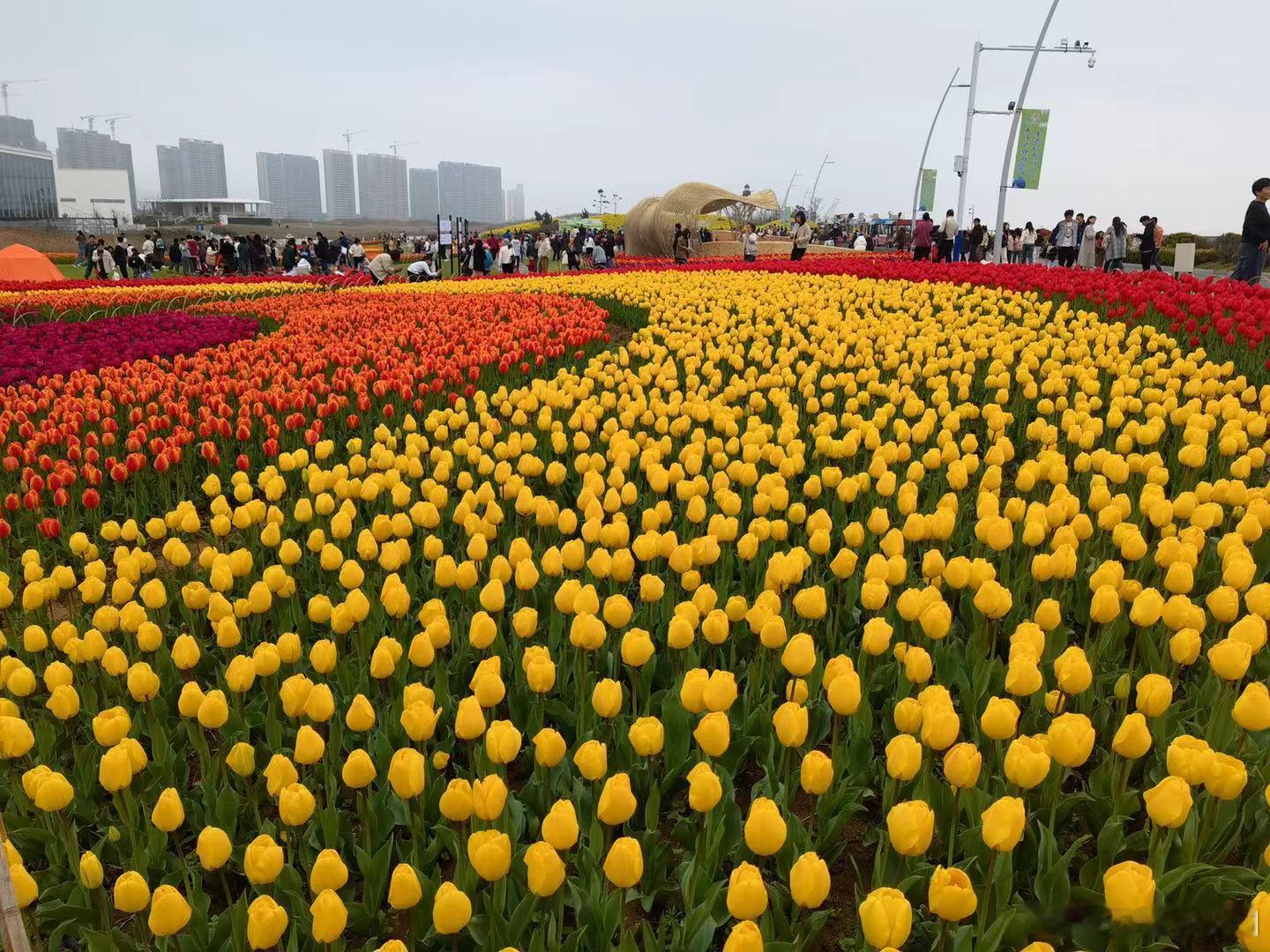 AI采用率目前企业对 AI 人工智能的采用率大约是 10%，并且正朝着50%的采