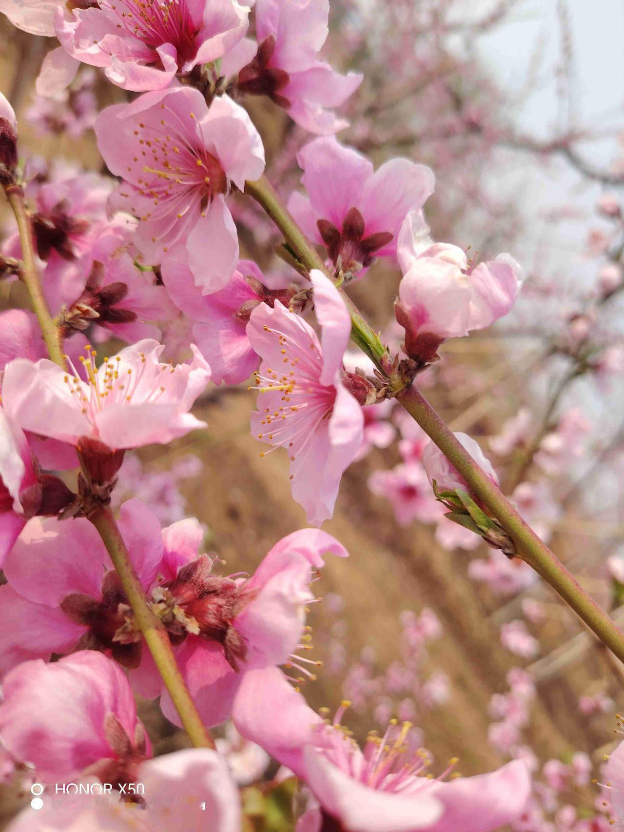我的今日状态：😁轻松愉快
我这里的天气：🍂微风