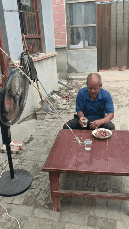 惊呆所有人！饭桌上的酒杯碰出轻响，对面坐着的“搭子”却不会应答——这是独居老人为