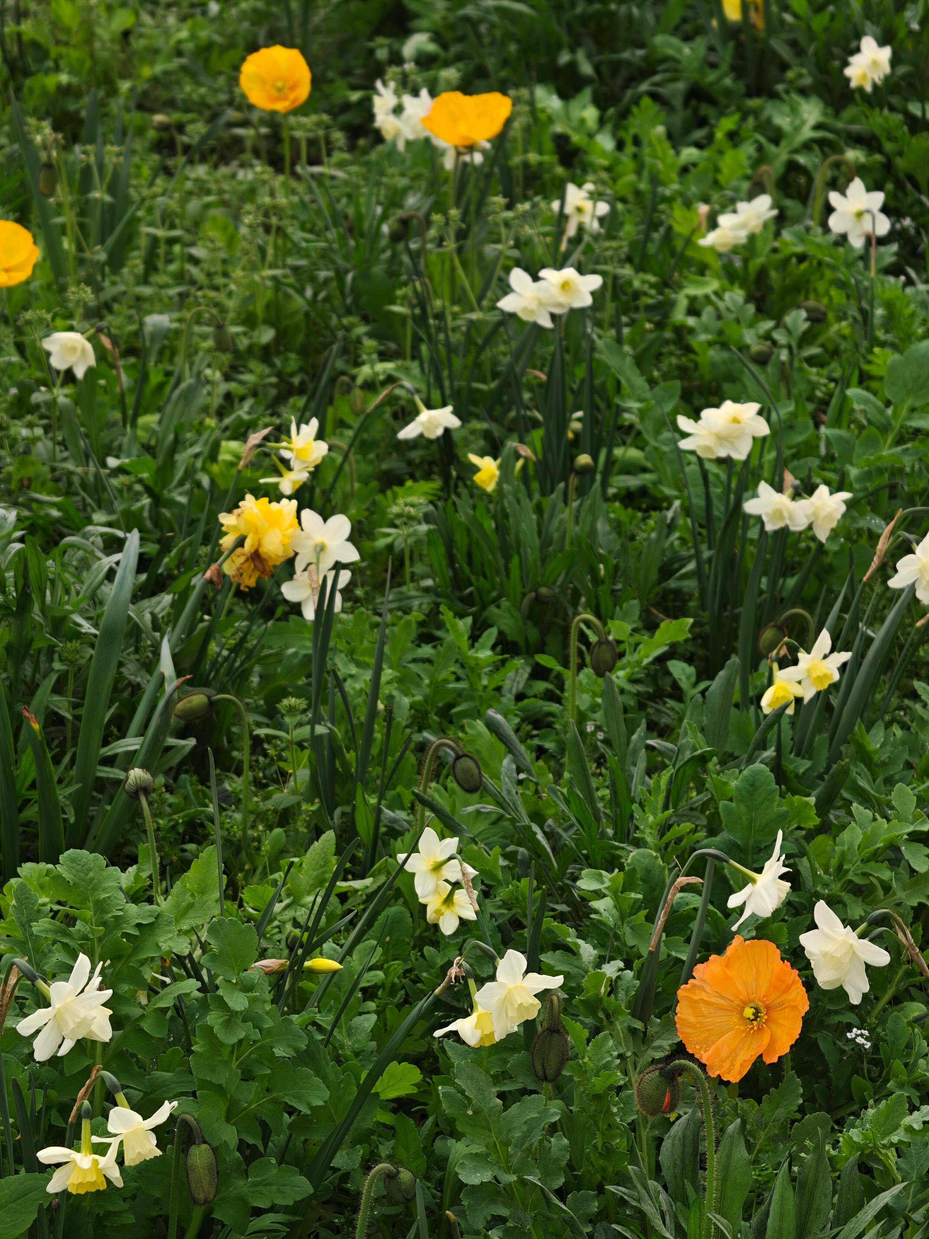 🍃快乐秘籍➫停止瞎想ᯓ🌷 