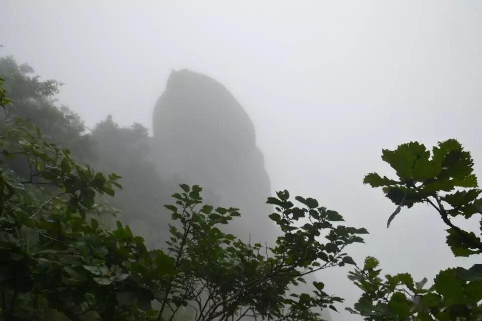 公园美丽景随拍天柱山地质公园