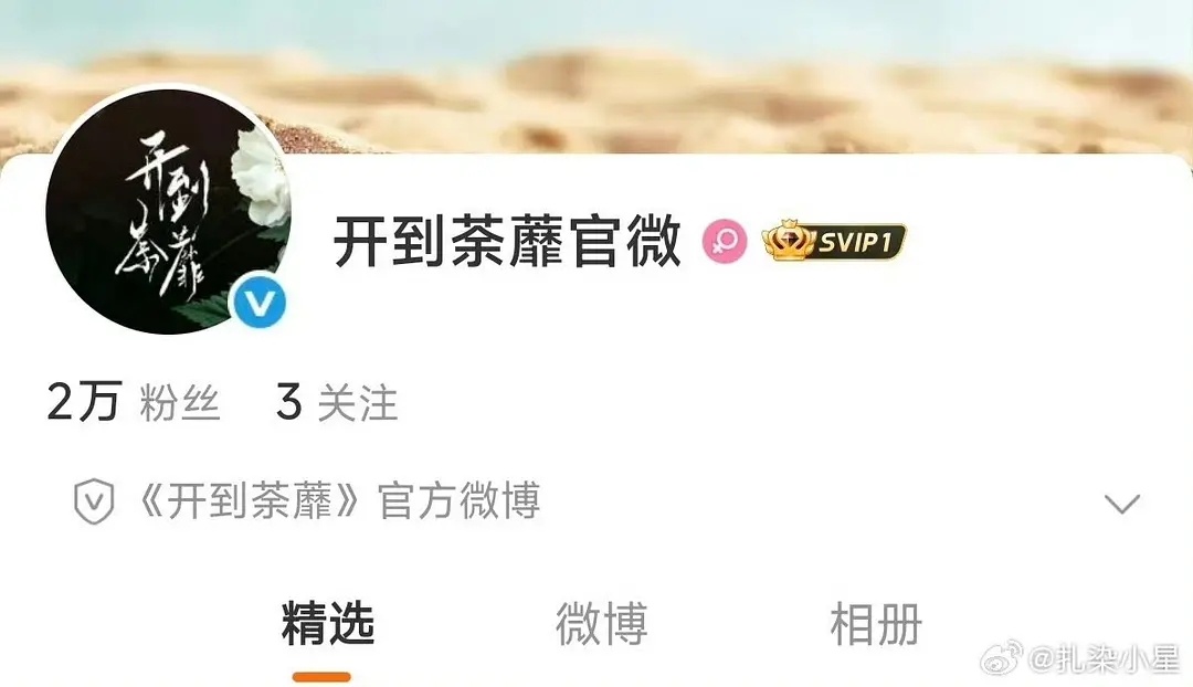 无人在意的角落，🌊进开到荼蘼 