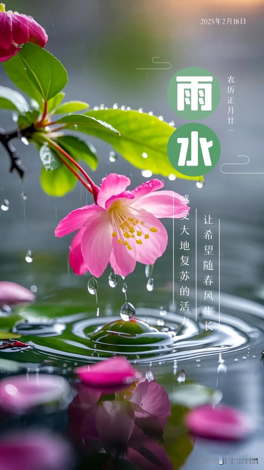 2月18日早上好吉祥祝福：雨水安康，放下烦恼，拥抱自然，享受天伦之乐。

雨水至